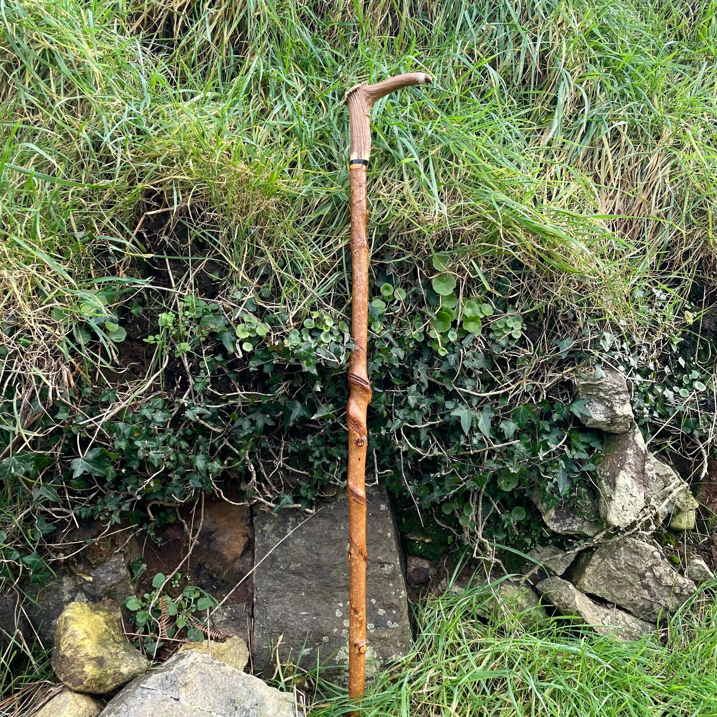 Blackthorn Tall staff Hiking stick with Antler