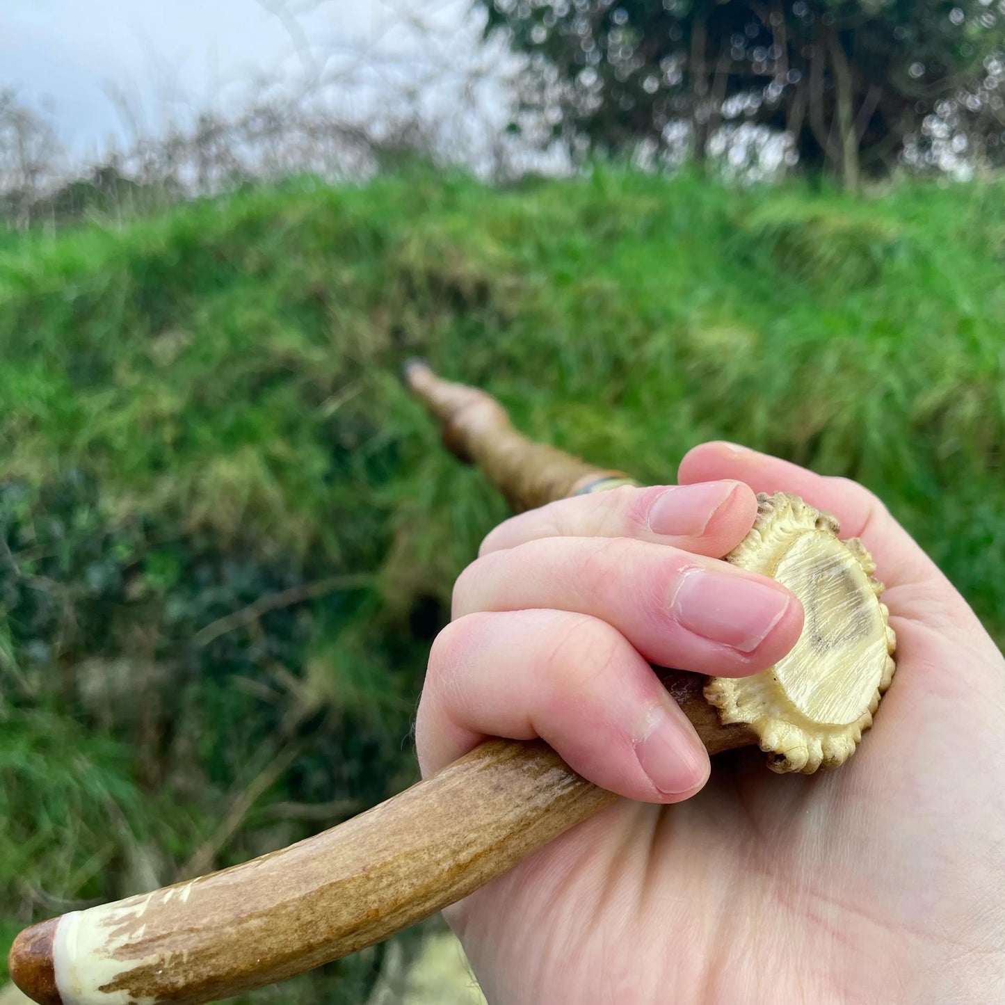 Blackthorn Tall staff Hiking stick with Antler