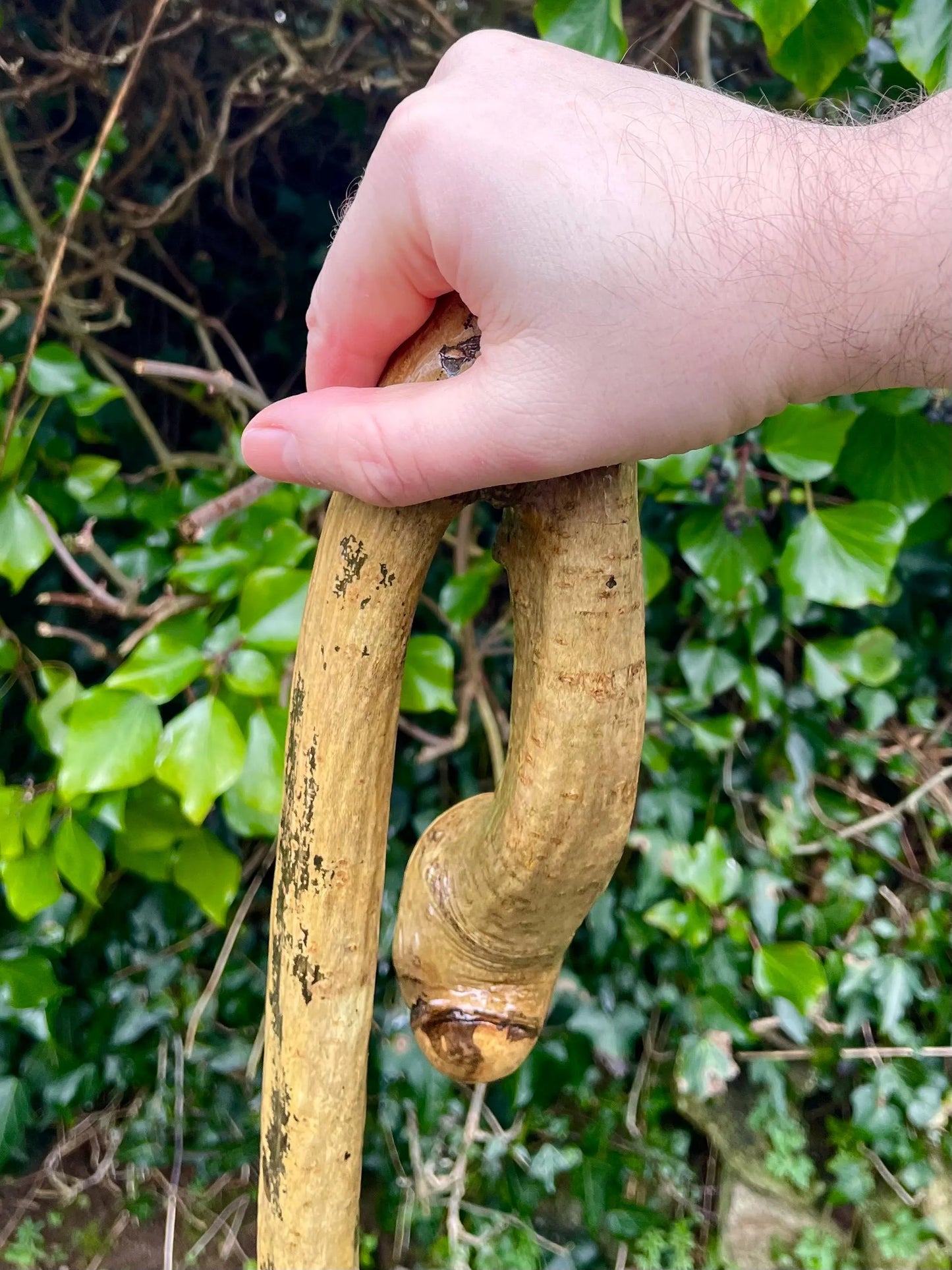 Blackthorn Tall staff Hiking stick