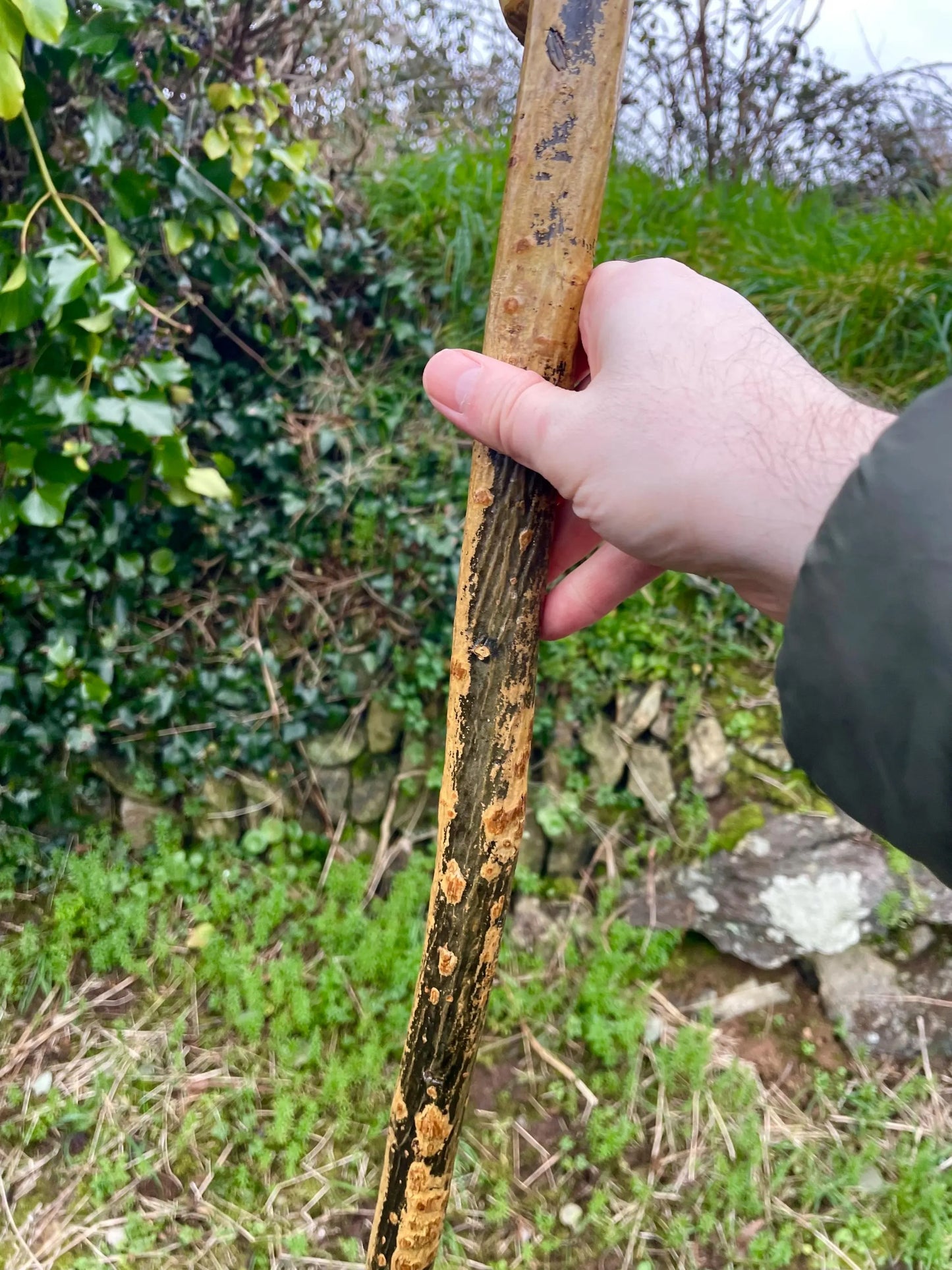 Blackthorn Tall staff Hiking stick