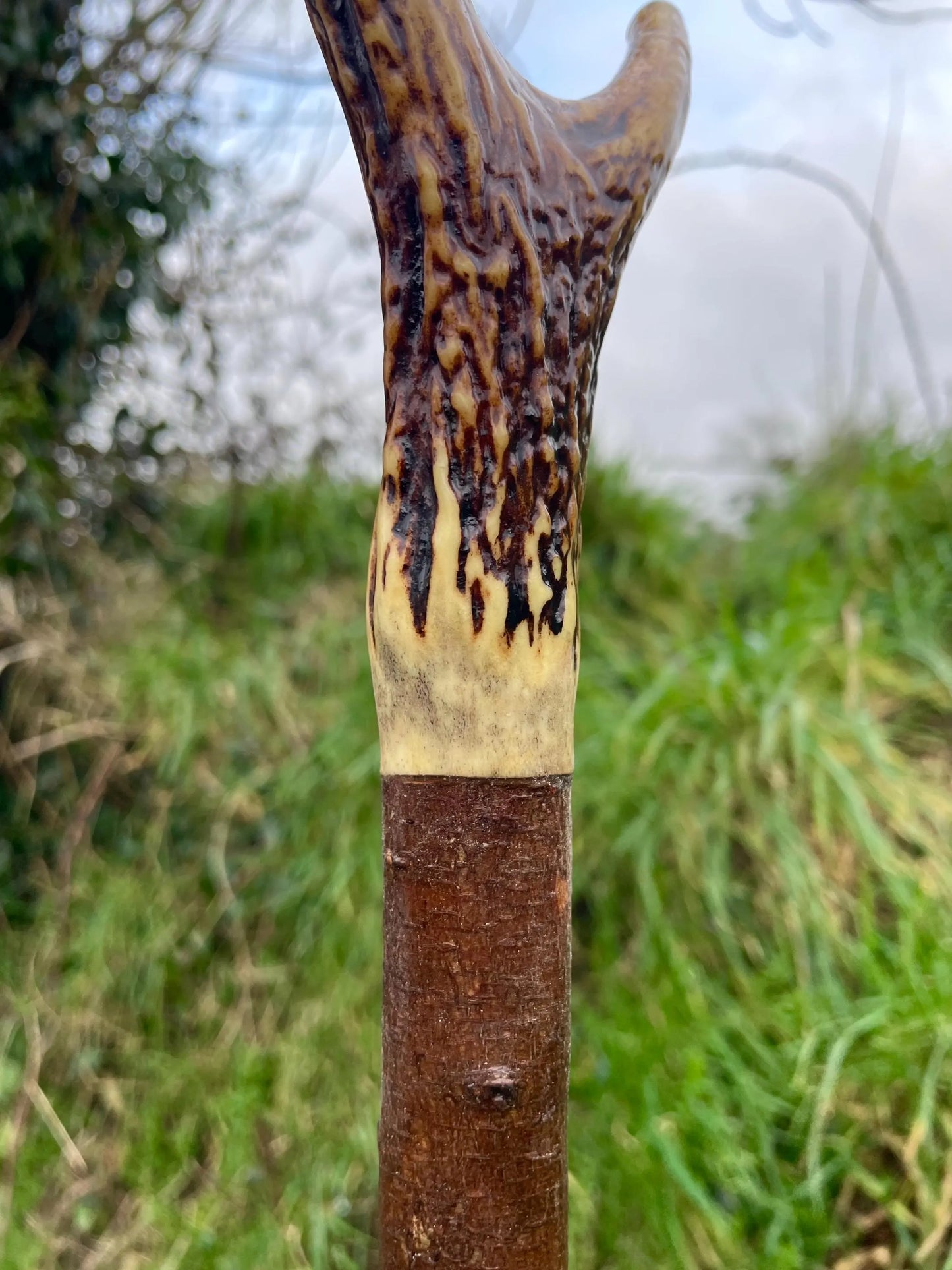 Blackthorn Tall staff Hiking stick