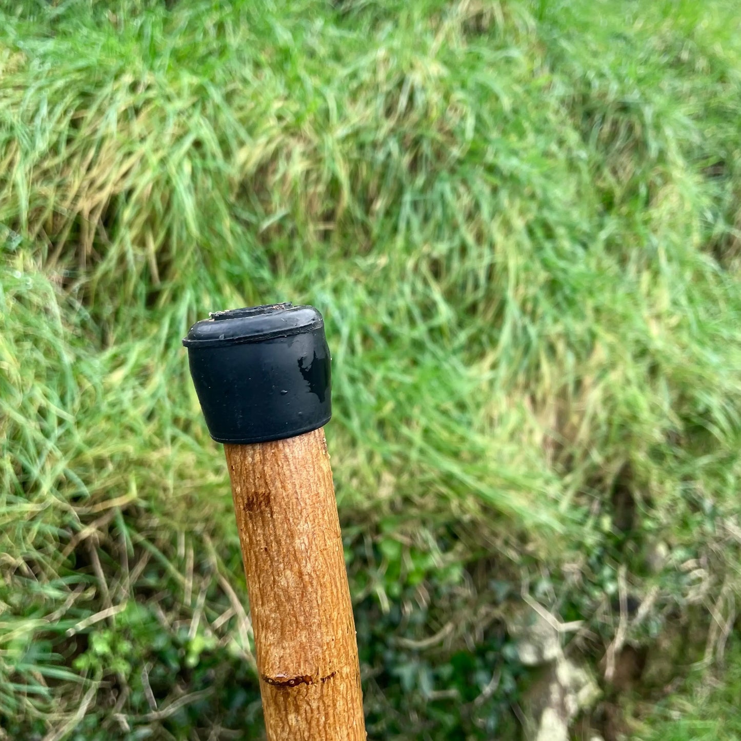 Blackthorn Tall staff Hiking stick with Antler