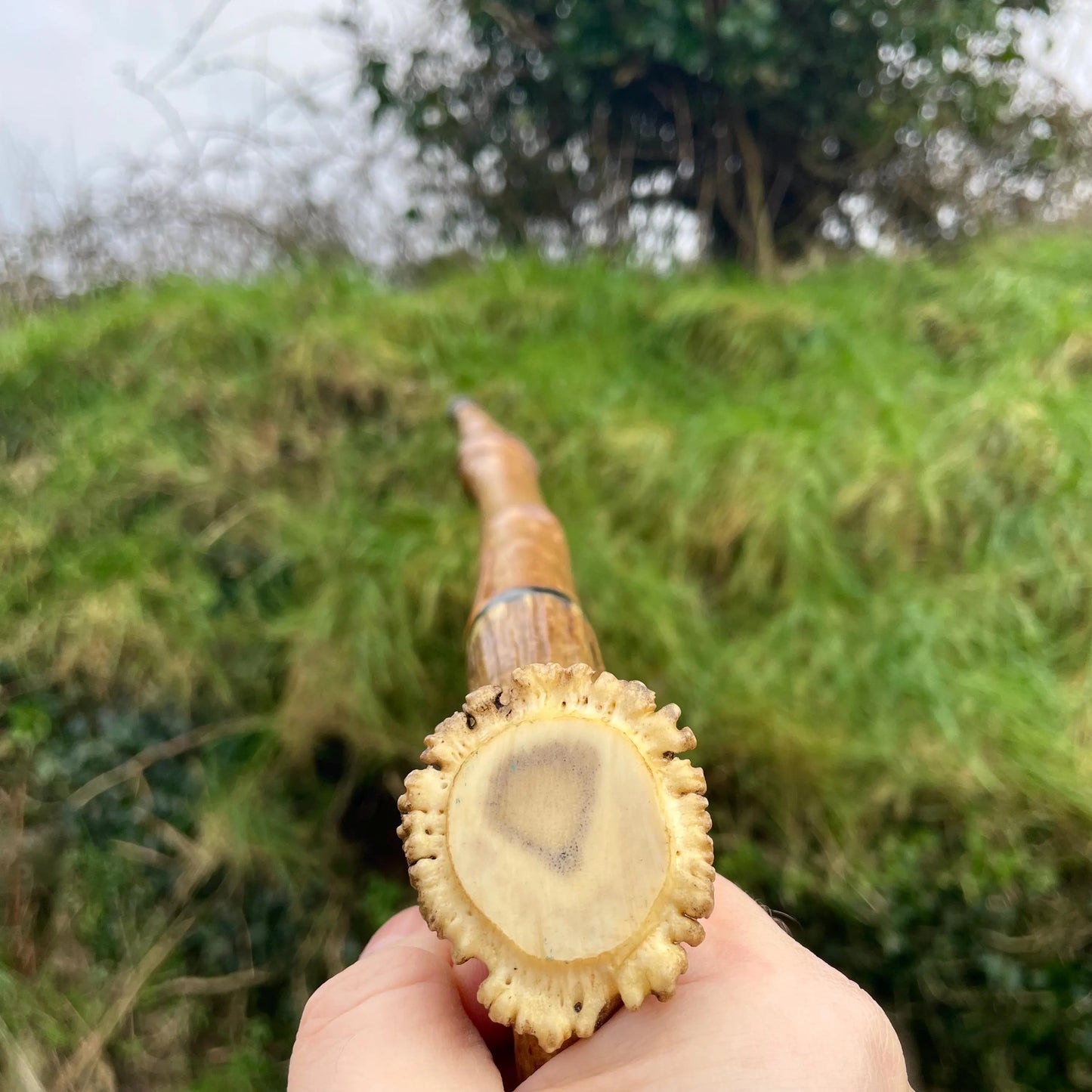 Blackthorn Tall staff Hiking stick with Antler