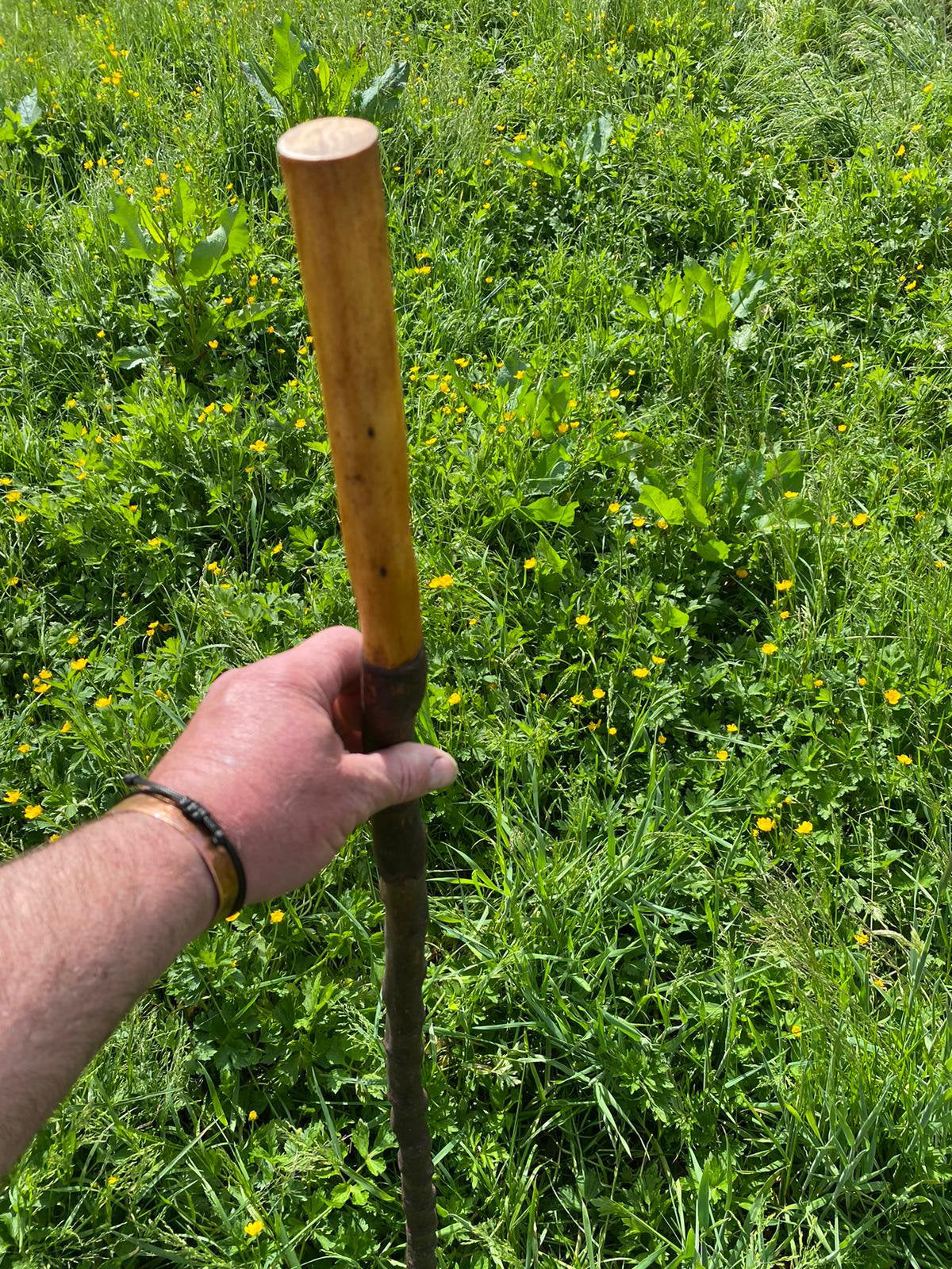 Blackthorn Wood Hiking Stick