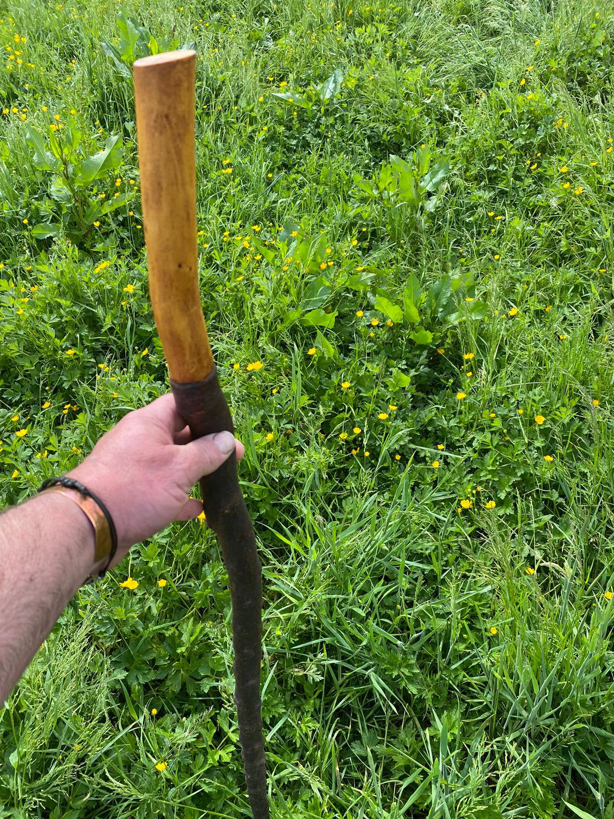 Blackthorn Wood Hiking Stick