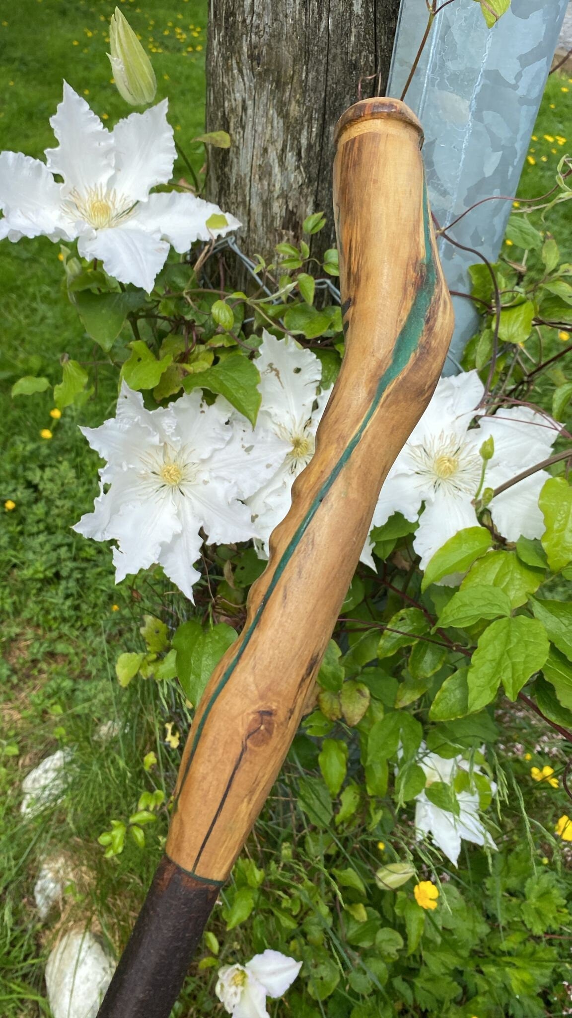 Blackthorn Wood Hiking Stick with Holly Wood Handle