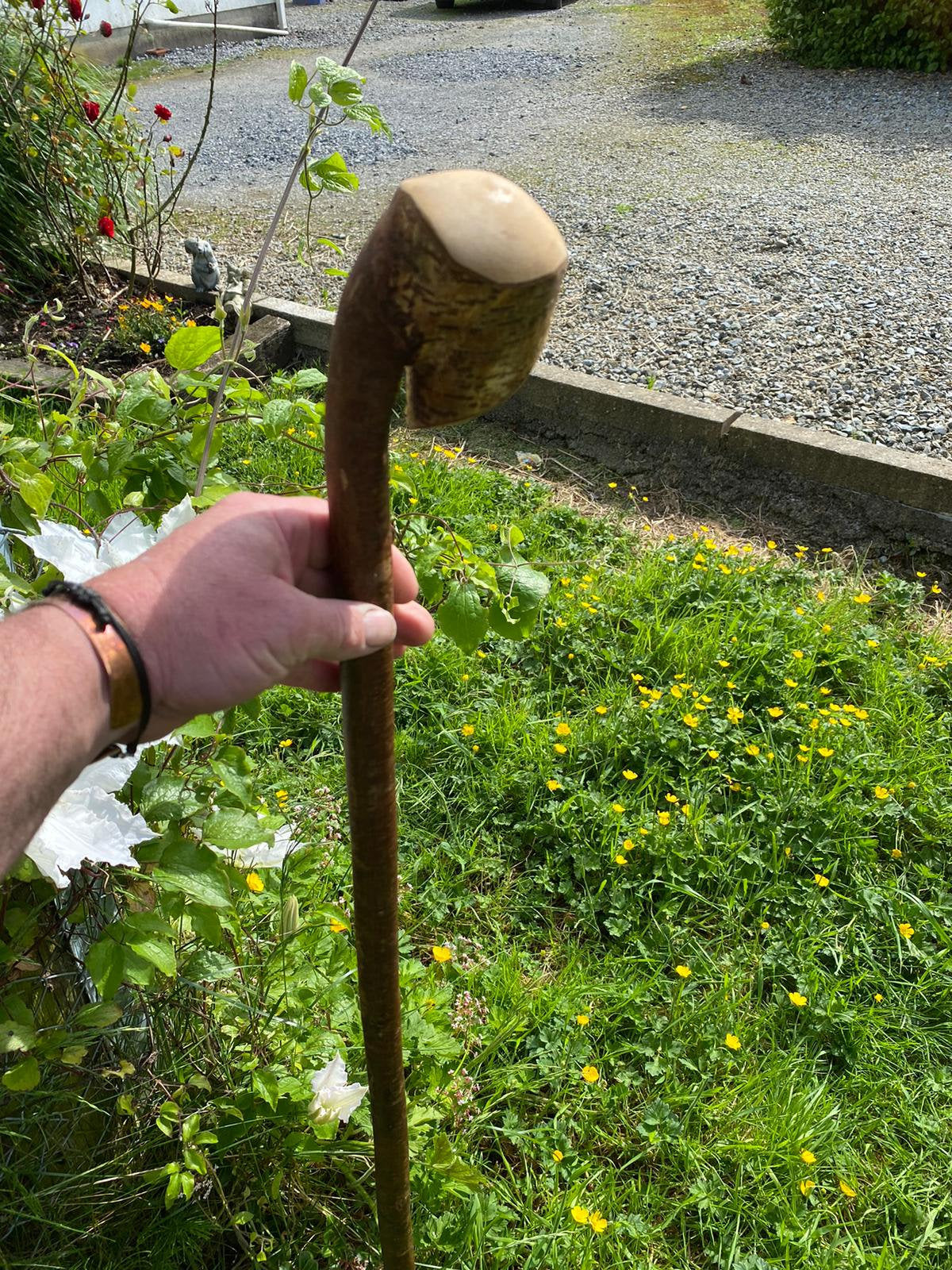 Hazel Wood Walking Stick Knob Head