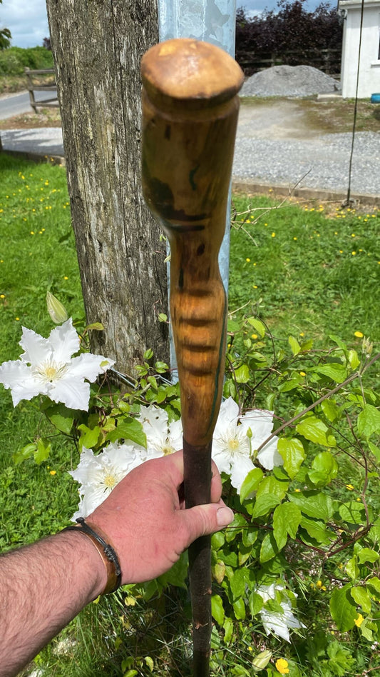 Blackthorn Wood Hiking Stick with Holly Wood Handle