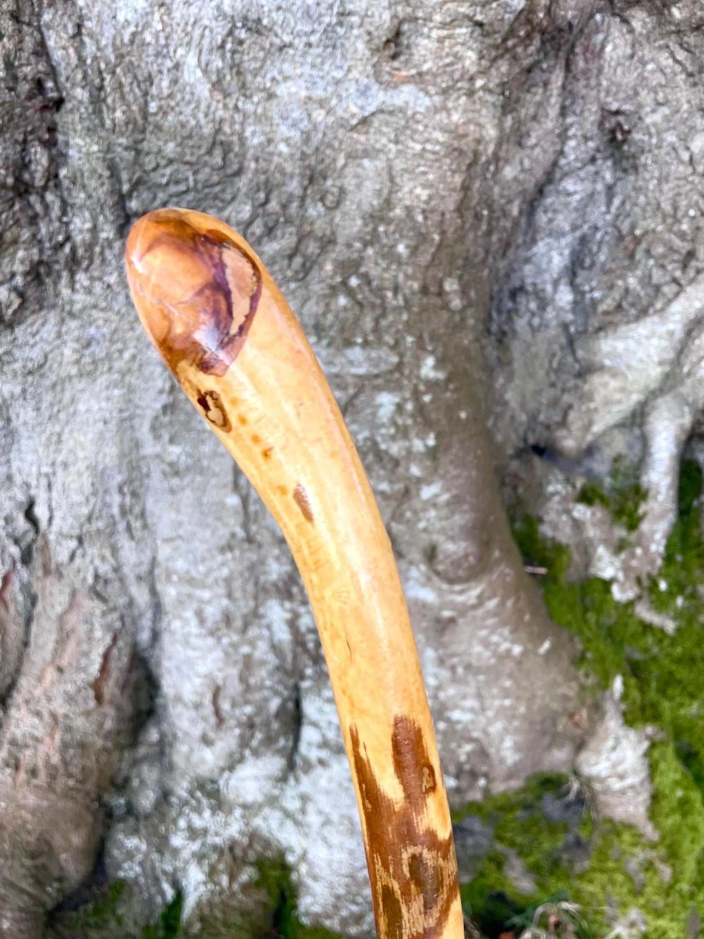 Beautiful Irish walking stick in Hazel with copper ending