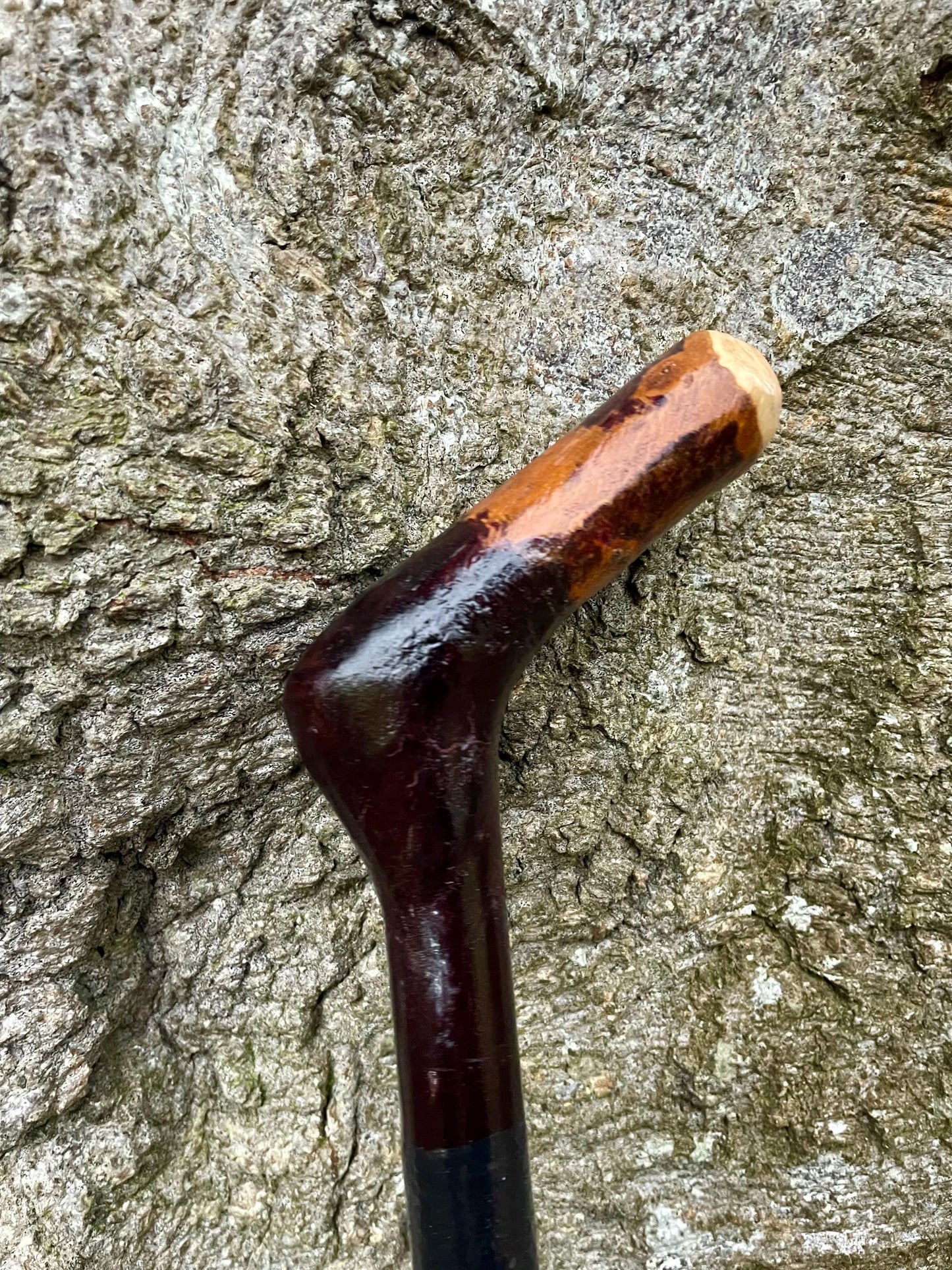 Blackthorn & Hazel #1 | Irish Walking Sticks