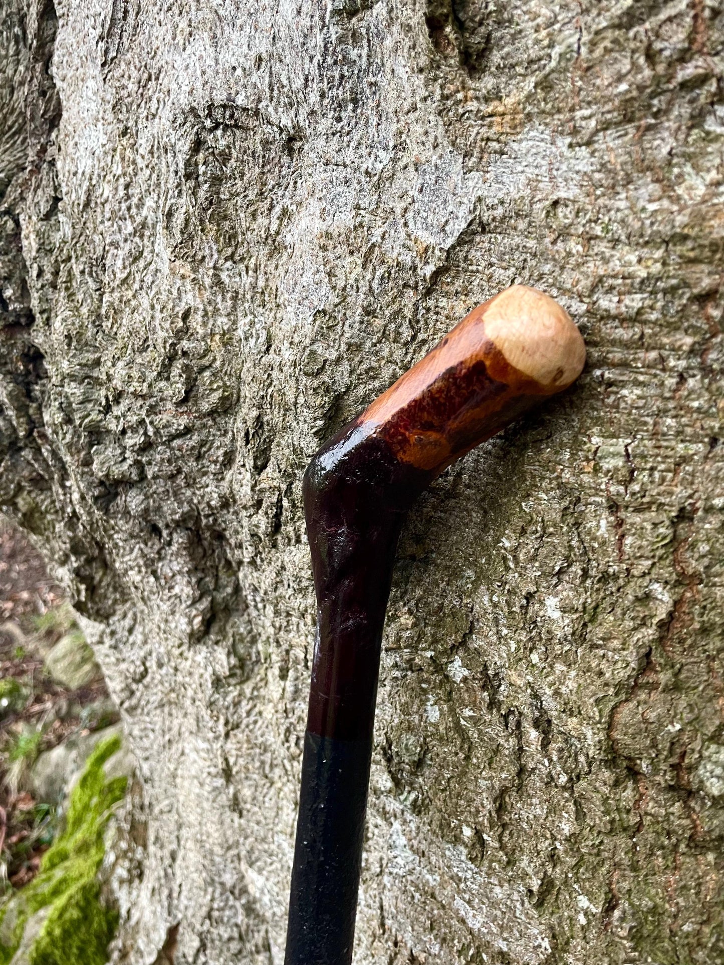 Blackthorn & Hazel #1 | Irish Walking Sticks