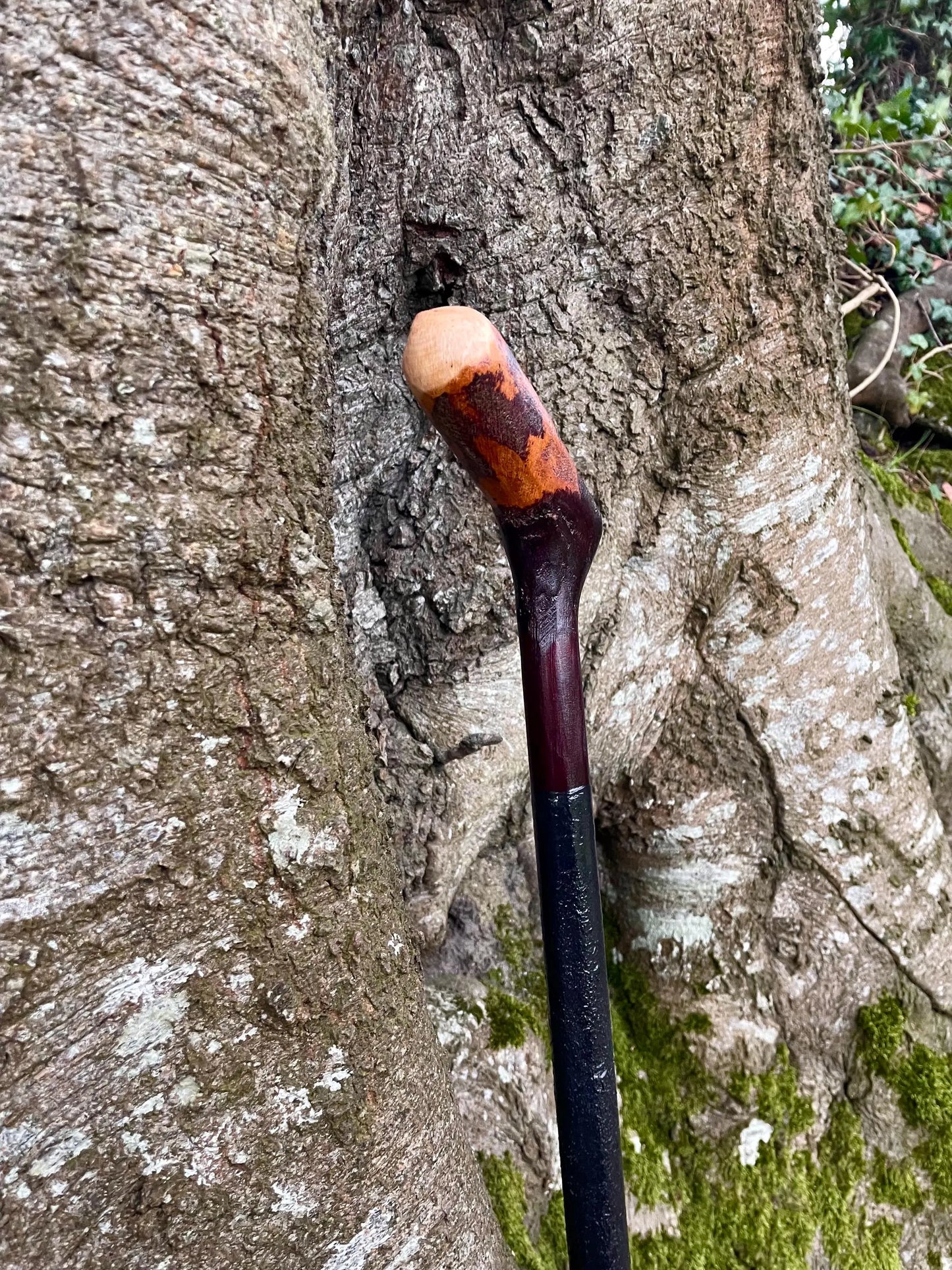 Irish walking stick in Blackthorn and Hazel