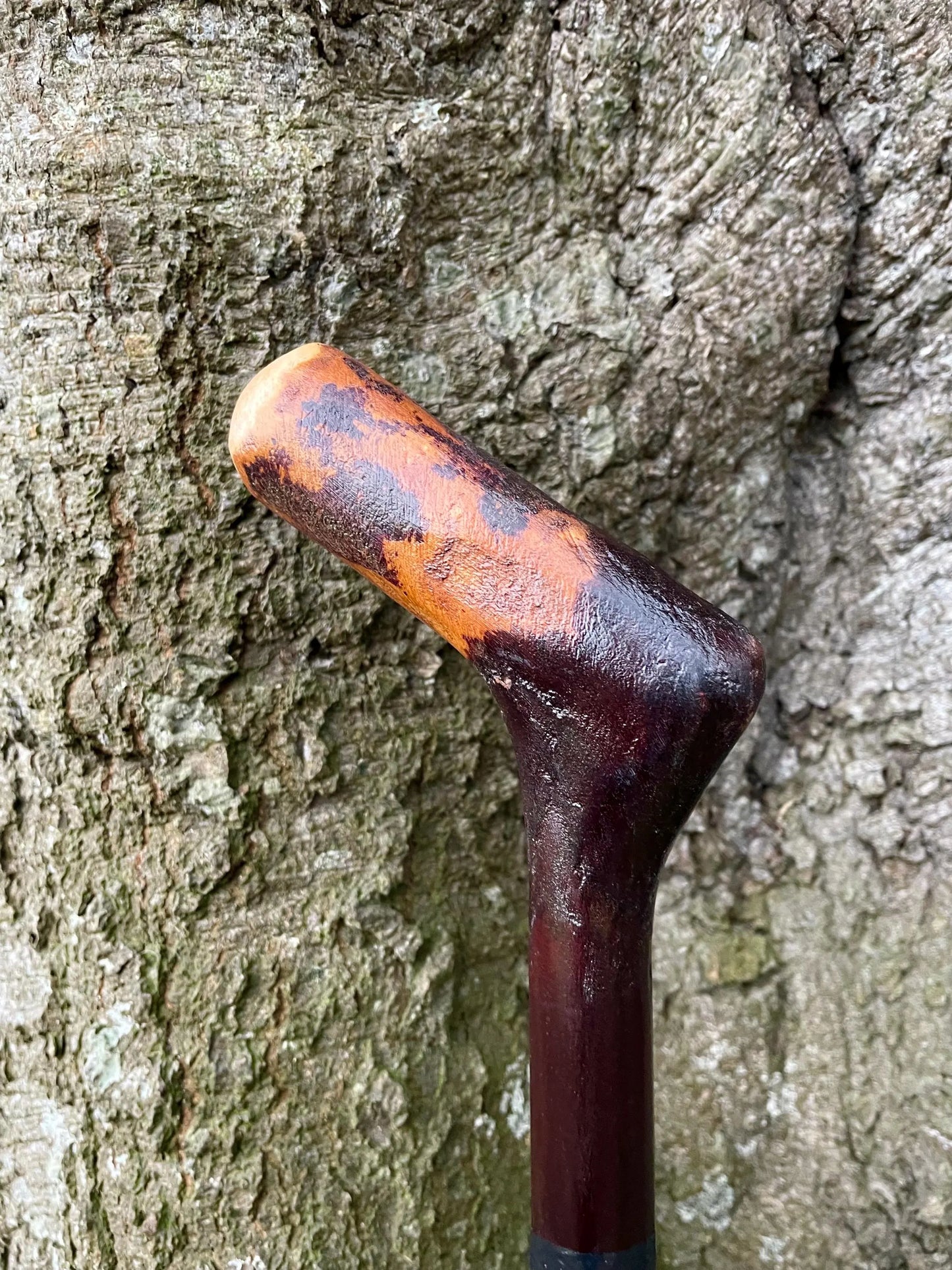 Irish walking stick in Blackthorn and Hazel