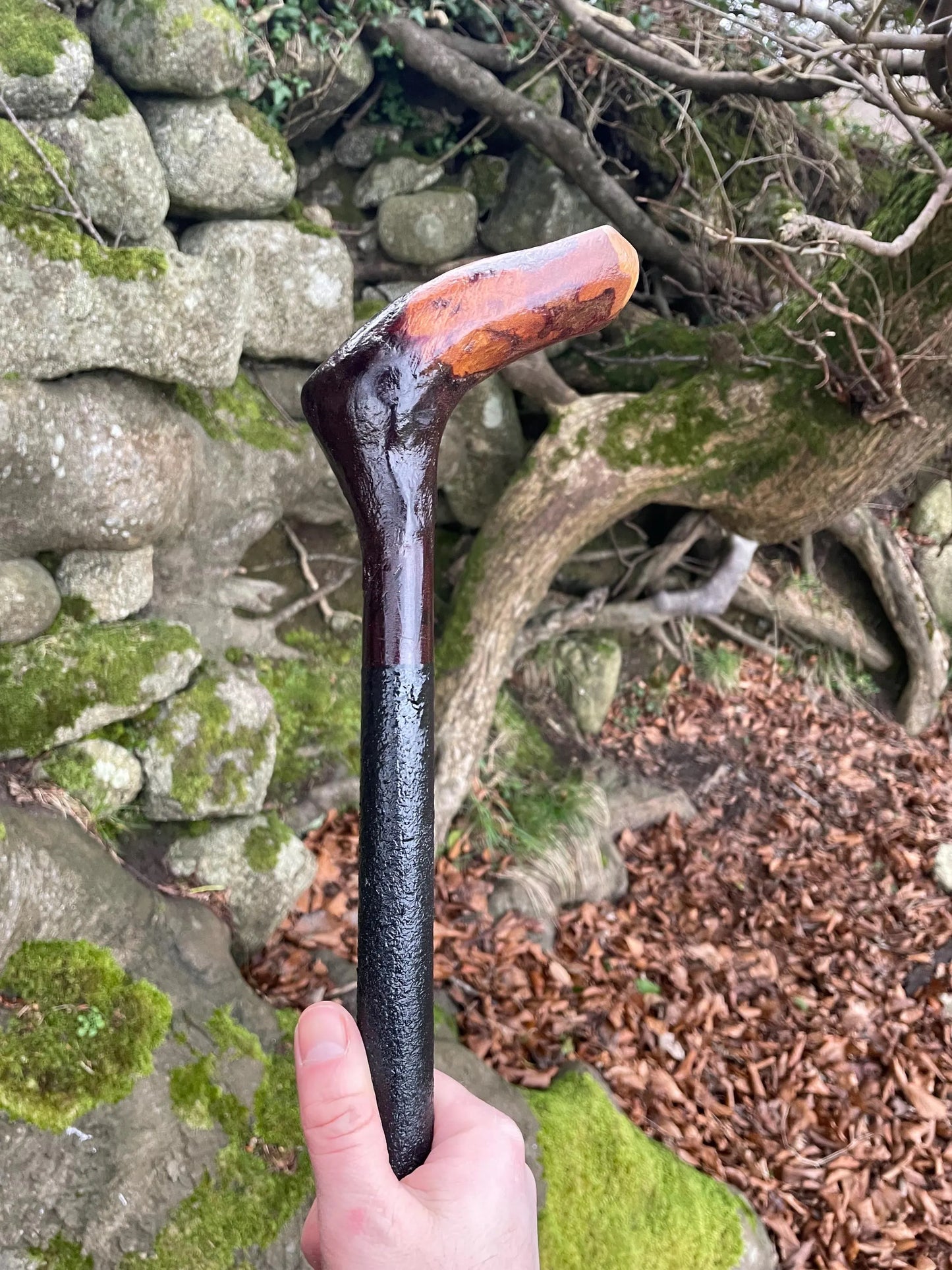 Irish walking stick in Blackthorn and Hazel