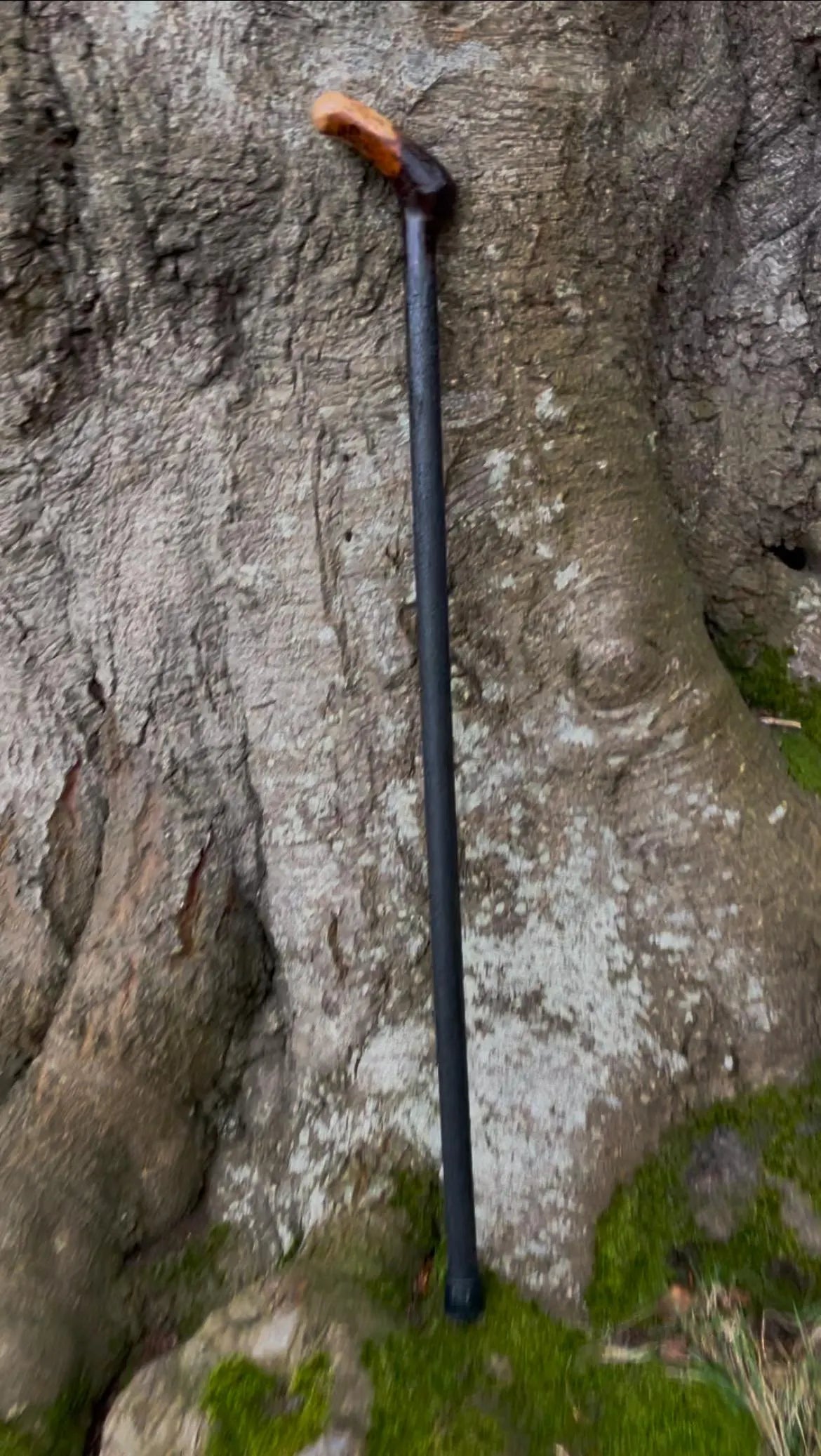 Irish walking stick in Blackthorn and Hazel