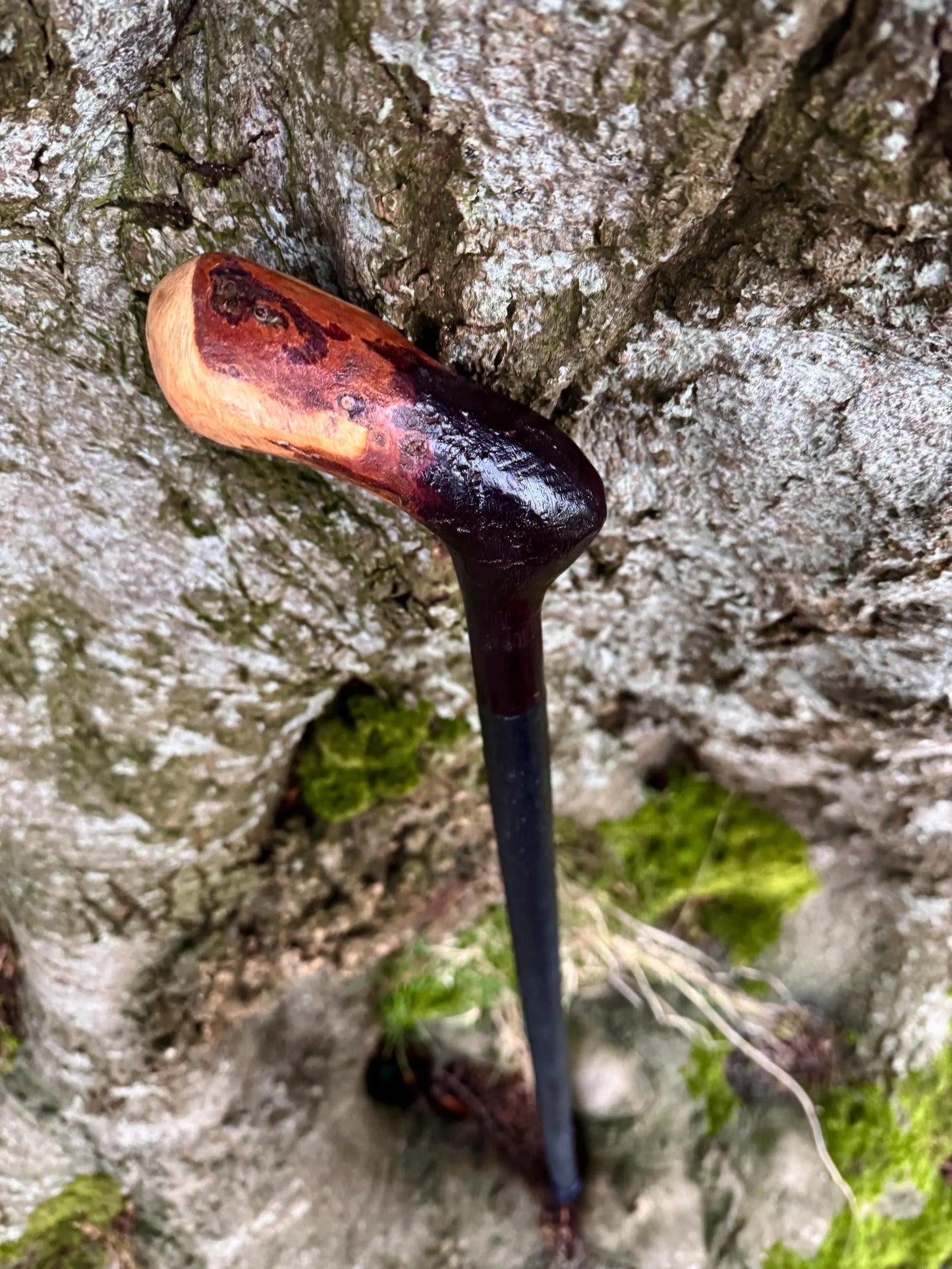 Irish walking stick in Blackthorn and Hazel