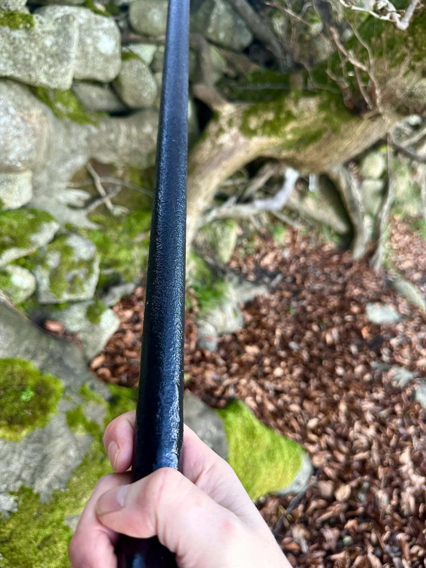 Irish walking stick in Blackthorn and Hazel