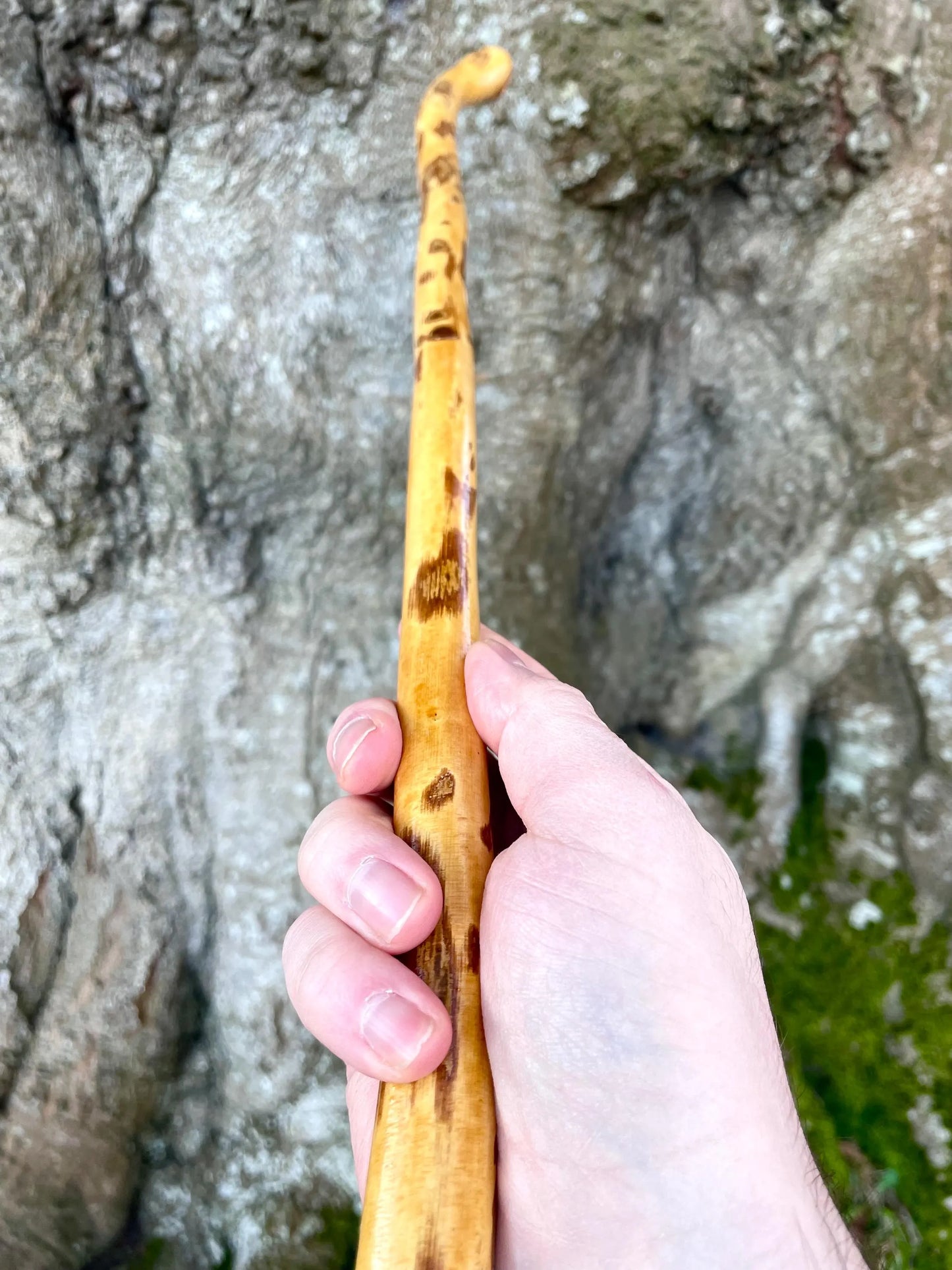 Beautiful Irish walking stick in Hazel with copper ending