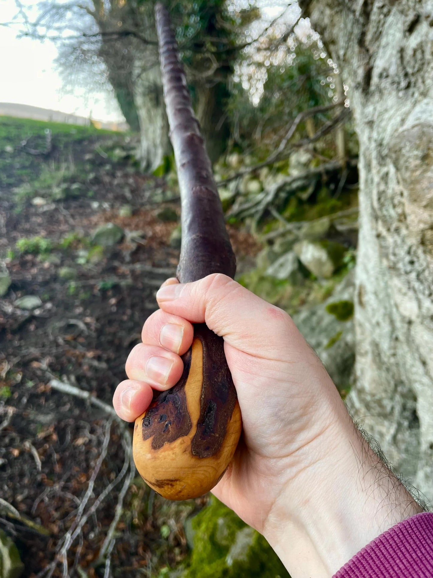 Blackthorn walking stick with Rugged Raspy handle, Made in Ireland