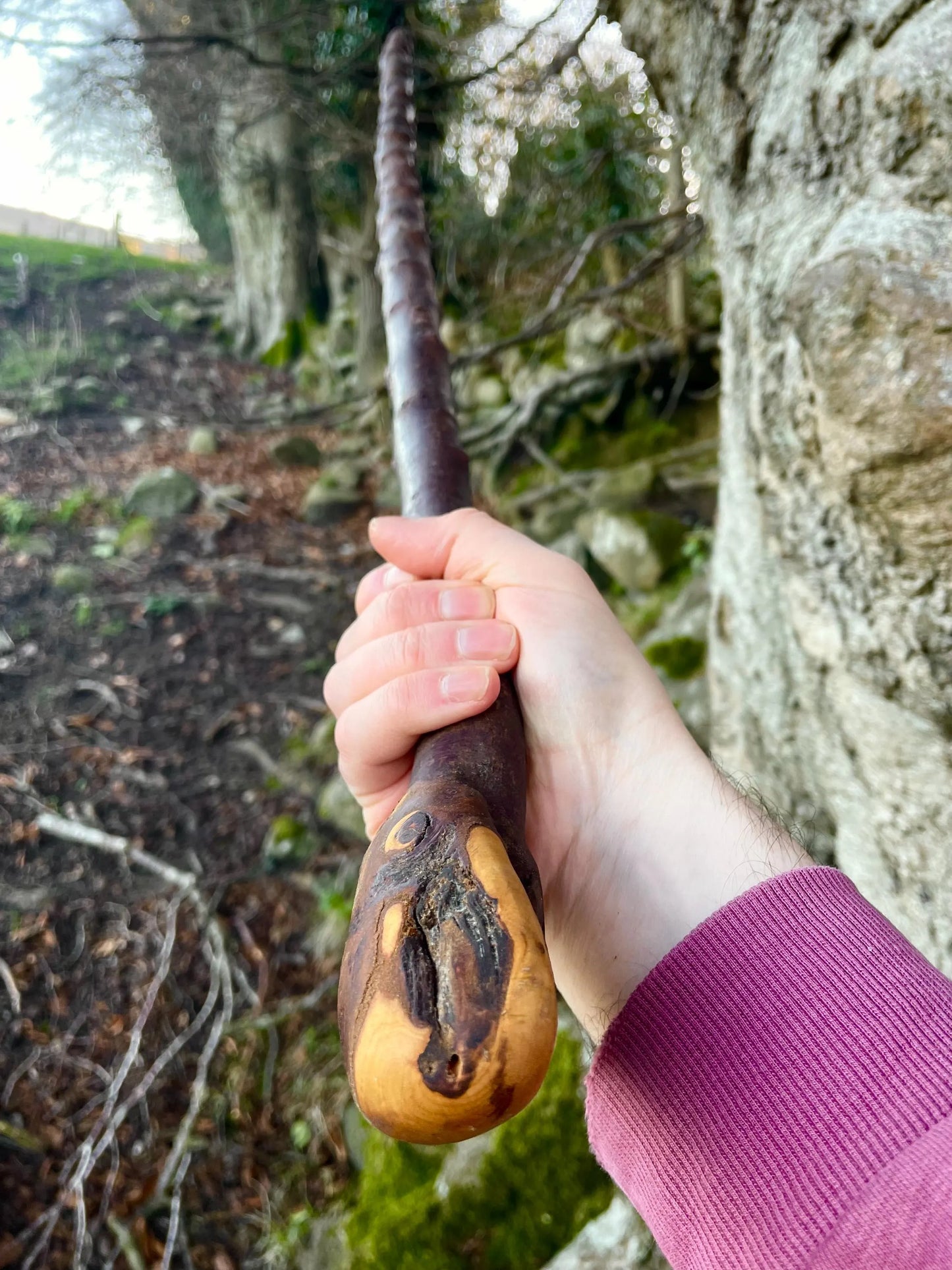 Blackthorn walking stick with Rugged Raspy handle, Made in Ireland