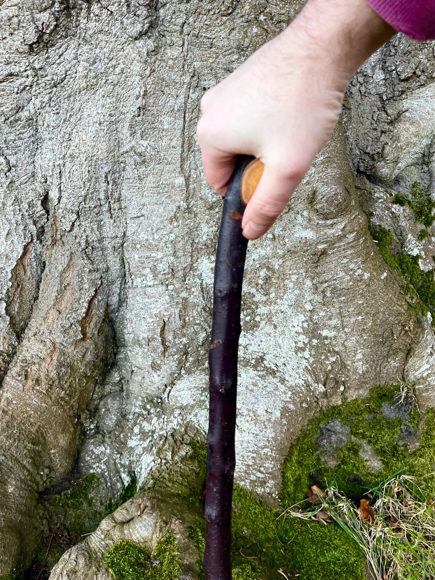 Blackthorn walking stick with Rugged Raspy handle, Made in Ireland