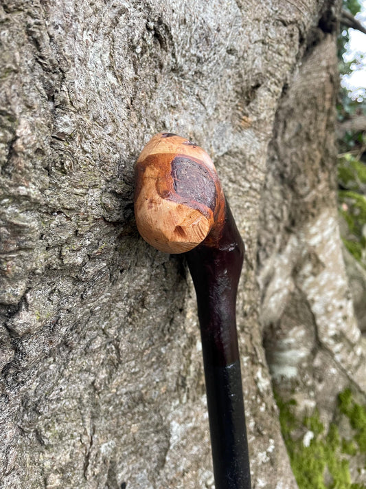 Irish walking stick in Blackthorn and Hazel