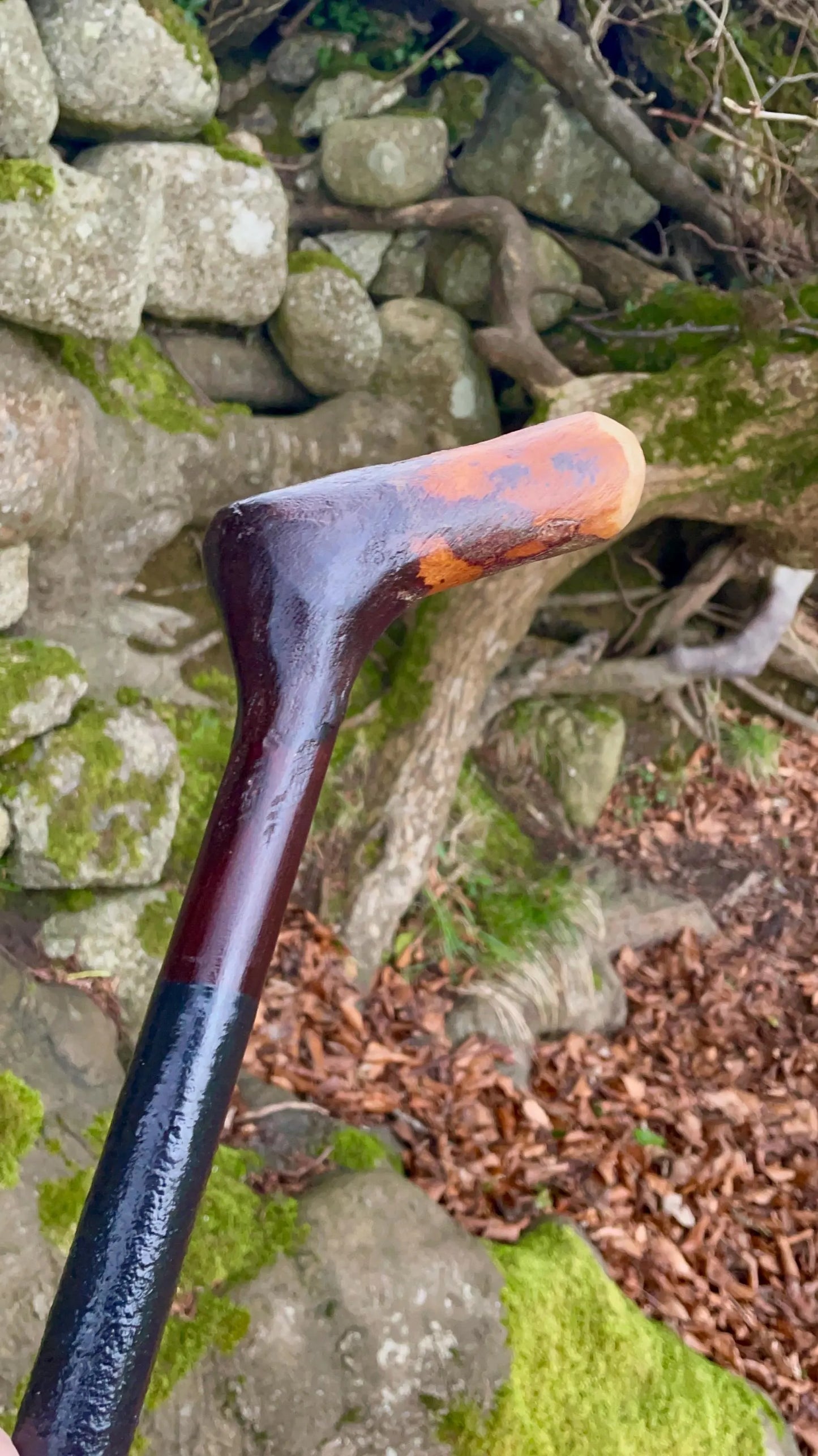 Irish walking stick in Blackthorn and Hazel