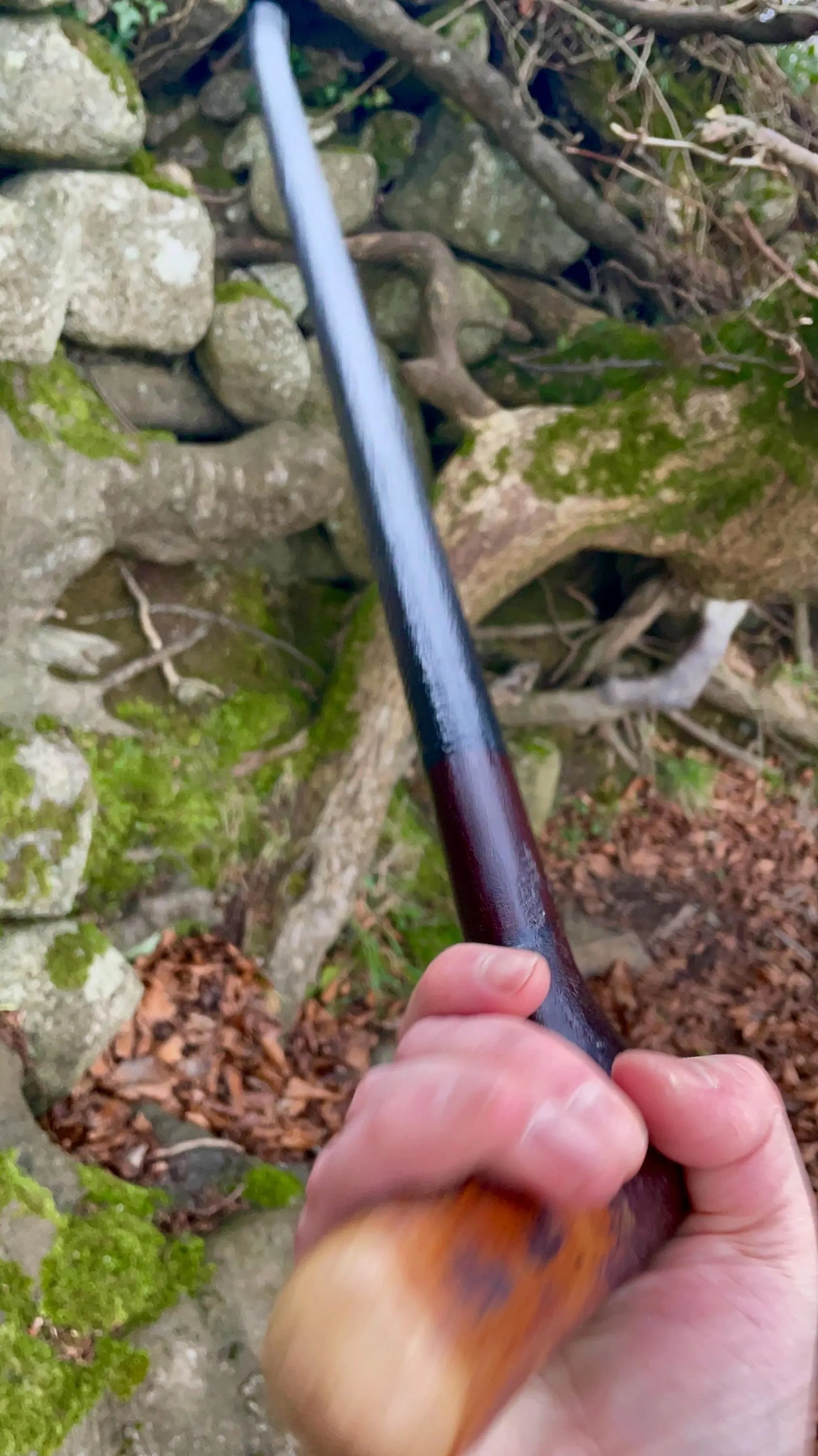 Irish walking stick in Blackthorn and Hazel