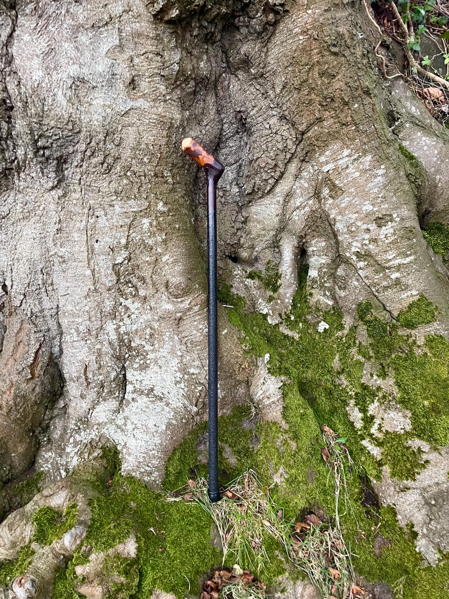 Irish walking stick in Blackthorn and Hazel