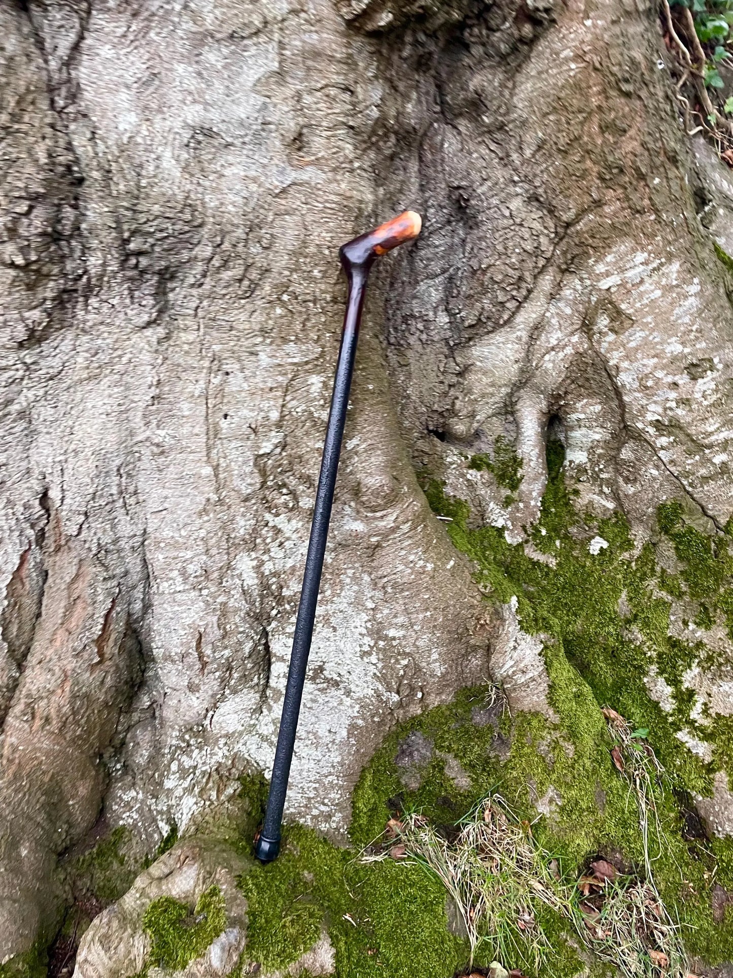 Irish walking stick in Blackthorn and Hazel