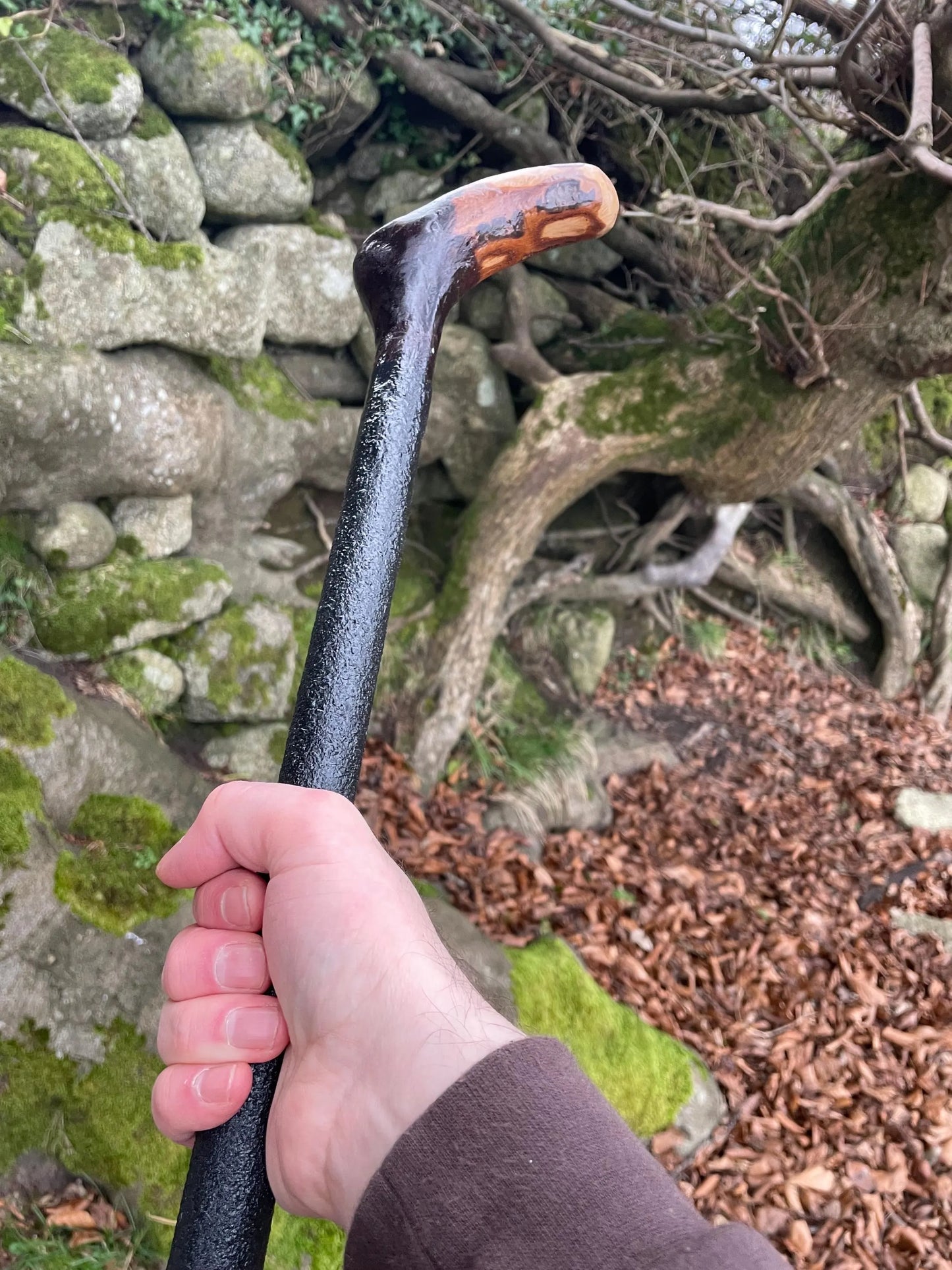 Irish walking stick in Blackthorn and Hazel