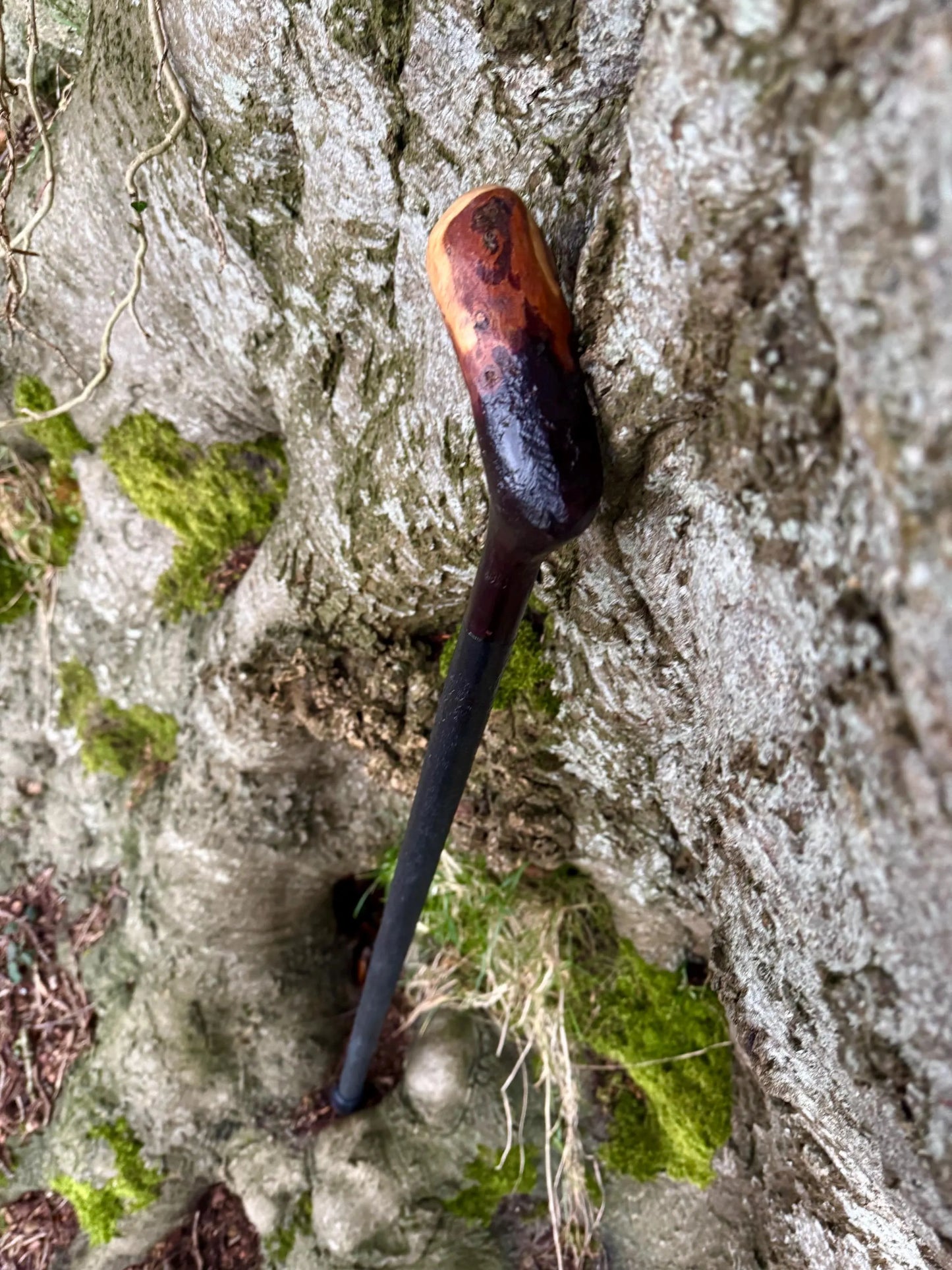 Irish walking stick in Blackthorn and Hazel