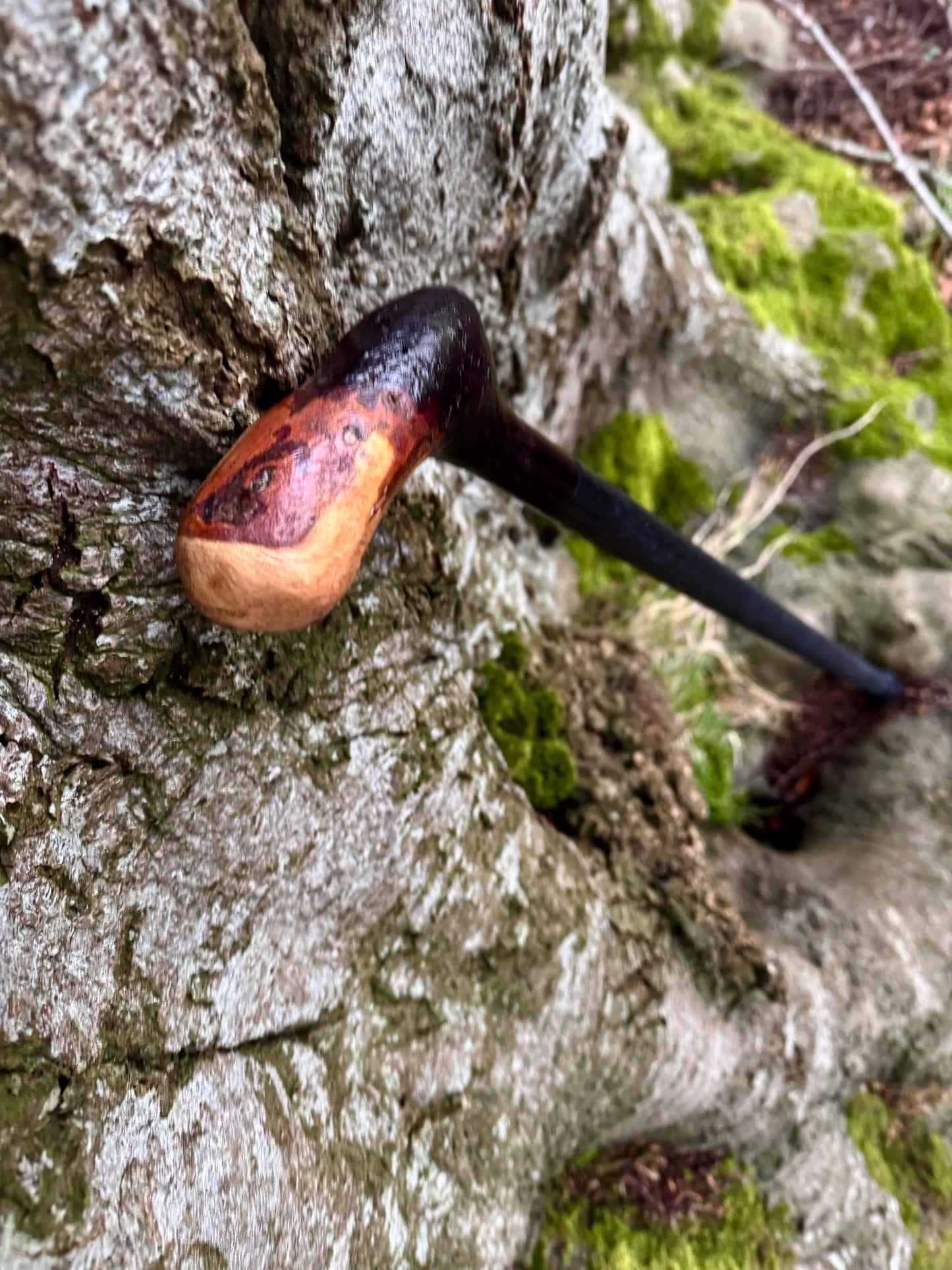 Irish walking stick in Blackthorn and Hazel