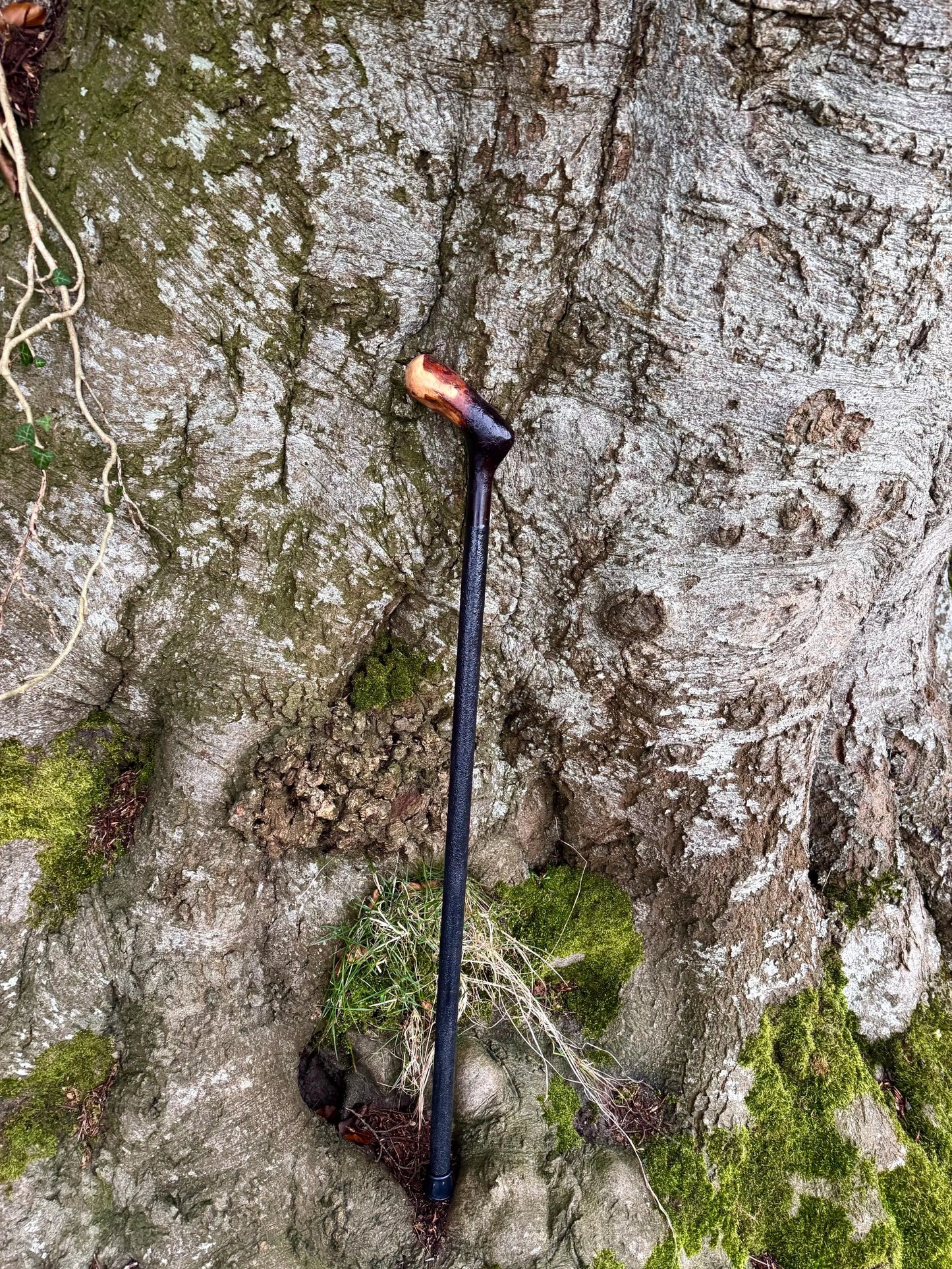 Irish walking stick in Blackthorn and Hazel