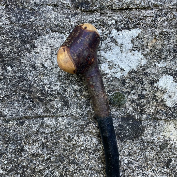 Blackthorn walking stick with knob and curve in front of a grey stone wall