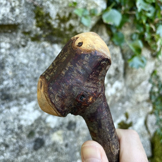 Blackthorn walking stick with knob and curve held in a hand in front of a grey stone wall