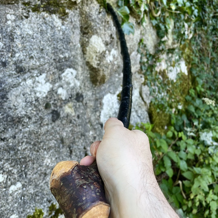 Blackthorn walking stick with knob and curve held in a hand in front of a grey stone wall with green plants