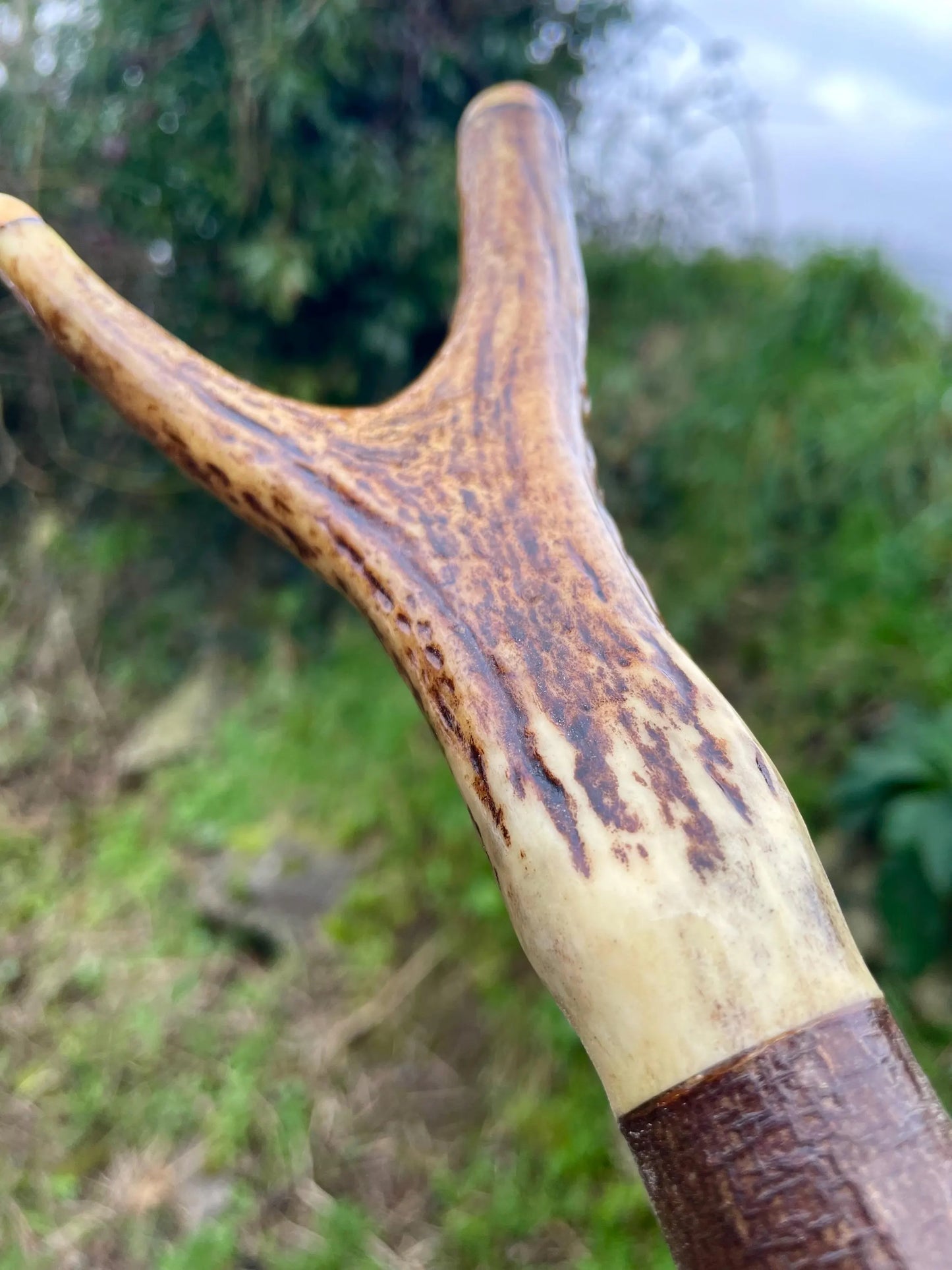 Blackthorn Tall staff Hiking stick