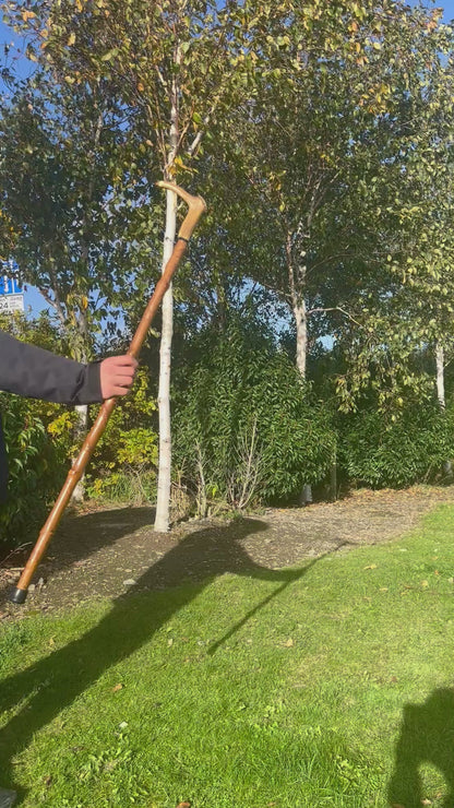 Hazel Walking Stick with Deer Antler Handle - 100 cm / 39 inches