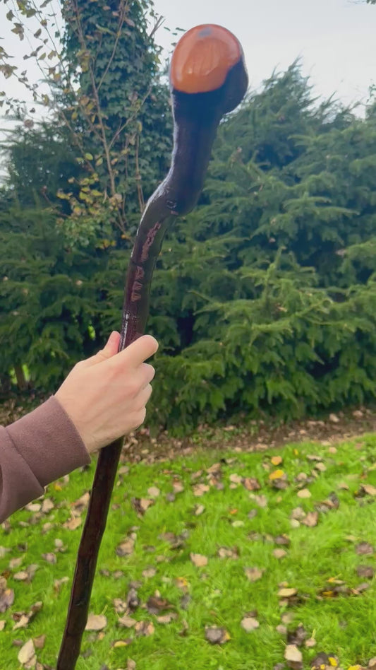 Rare Blackthorn Walking Stick with Purple Heart Head – 39”