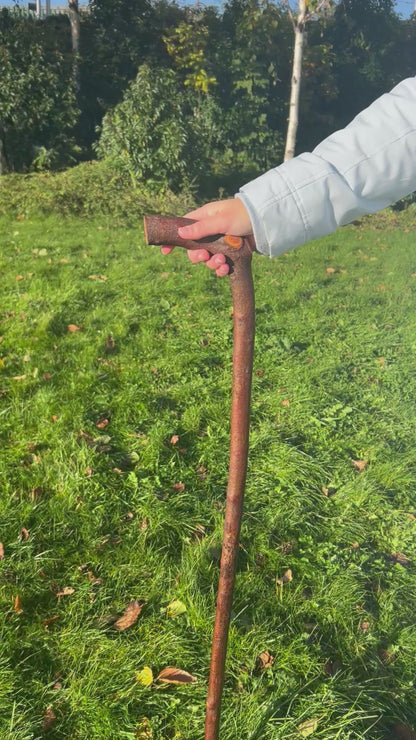 Blackthorn Walking Stick with L Handle - 97 cm / 38.2 inches