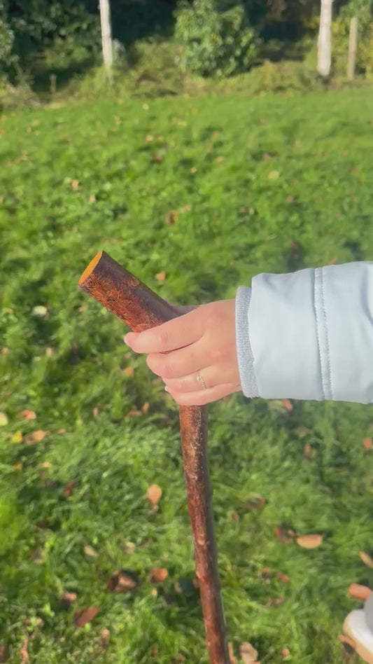Blackthorn Walking Stick with L Handle - 97 cm / 38.2 inches