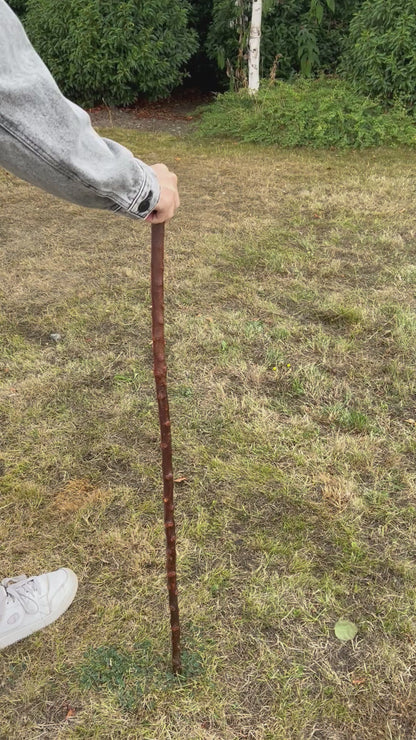 Blackthorn Shillelagh Knob Stick – 95.9 cm (37.8”)