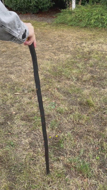 Blackthorn Shoulder Shillelagh with Knob Head – 93.8 cm (36.9”)