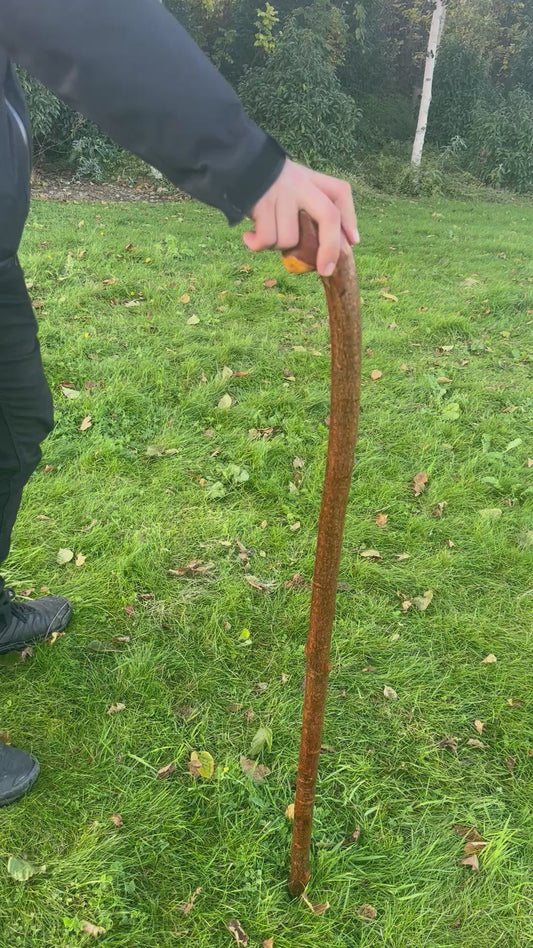Blackthorn Walking Stick with Grip Handle – 95cm