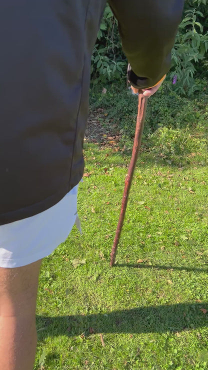 Traditional Wooden Knob Irish Walking Stick – 102 cm (40.2”)