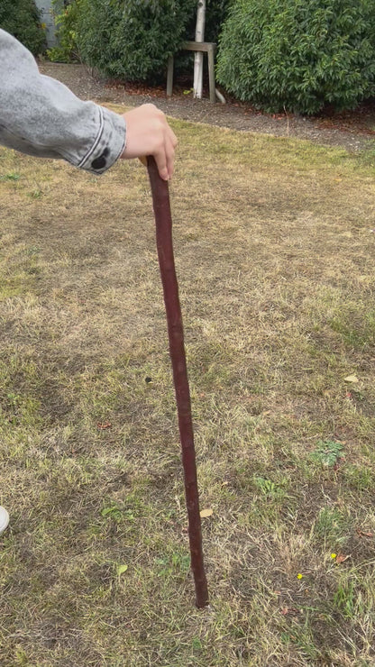 Traditional Blackthorn Shillelagh Small Knob Stick – 100.5 cm (39.6”)