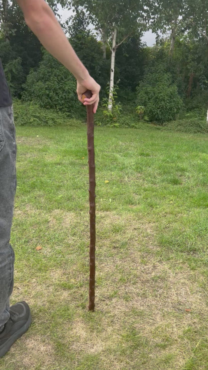 Shoulder Sean - Shillelagh – 91 cm (35.8”)