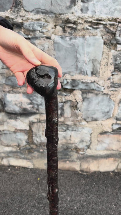 Black-Painted Blackthorn Walking Stick with Smooth Round Handle – 100 cm (39.4”)