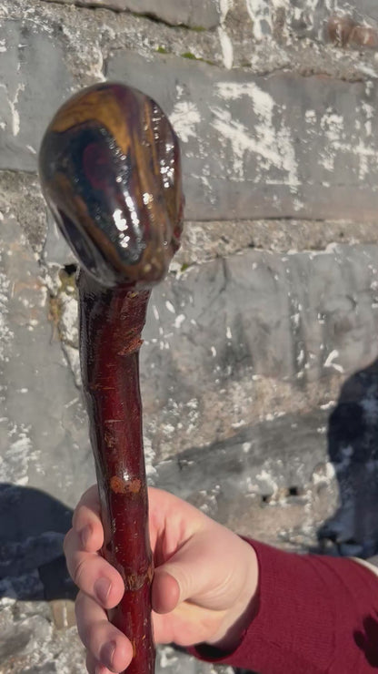 Blackthorn Curved Knob Shillelagh - 90 cm / 35 inches